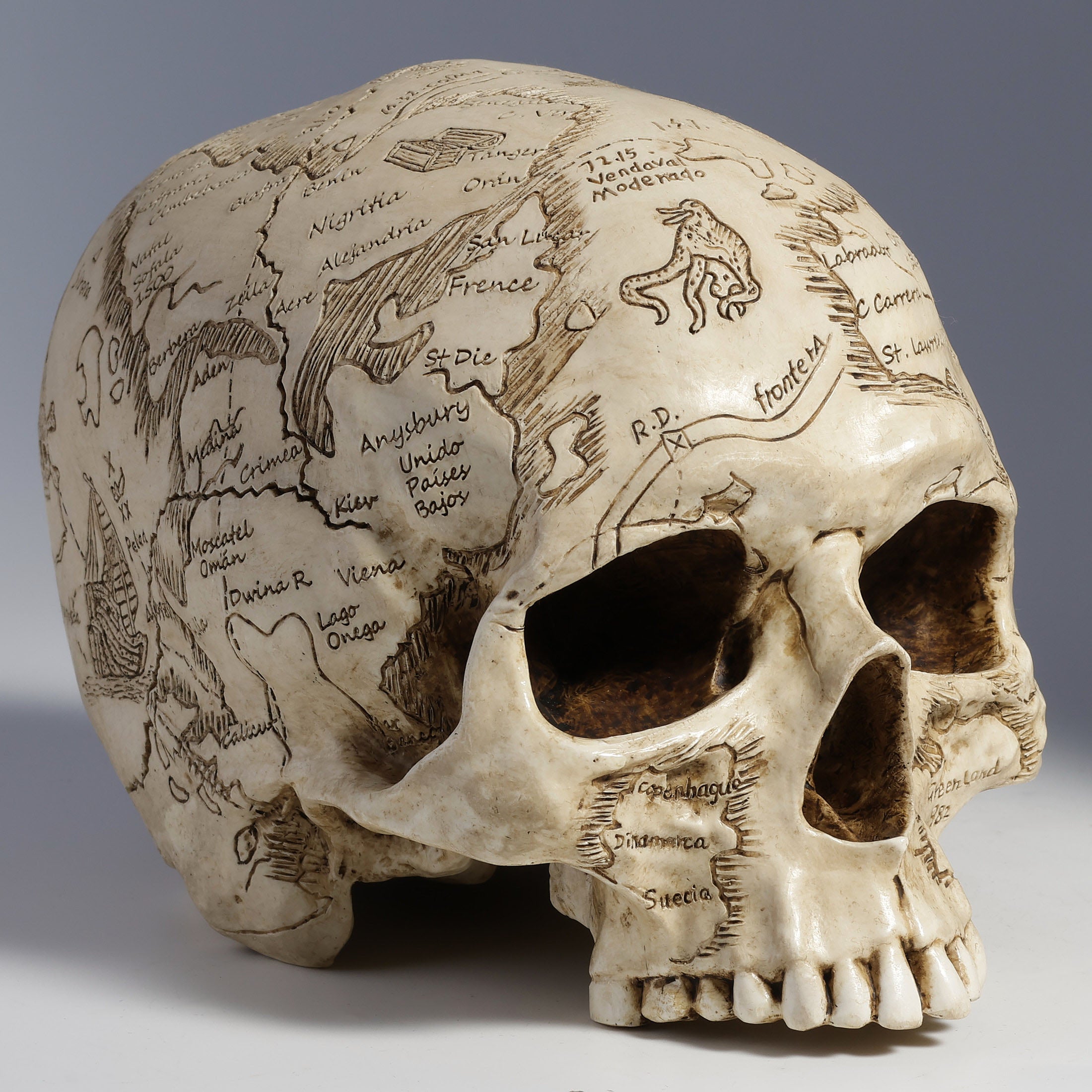 Craniumography Skull Map