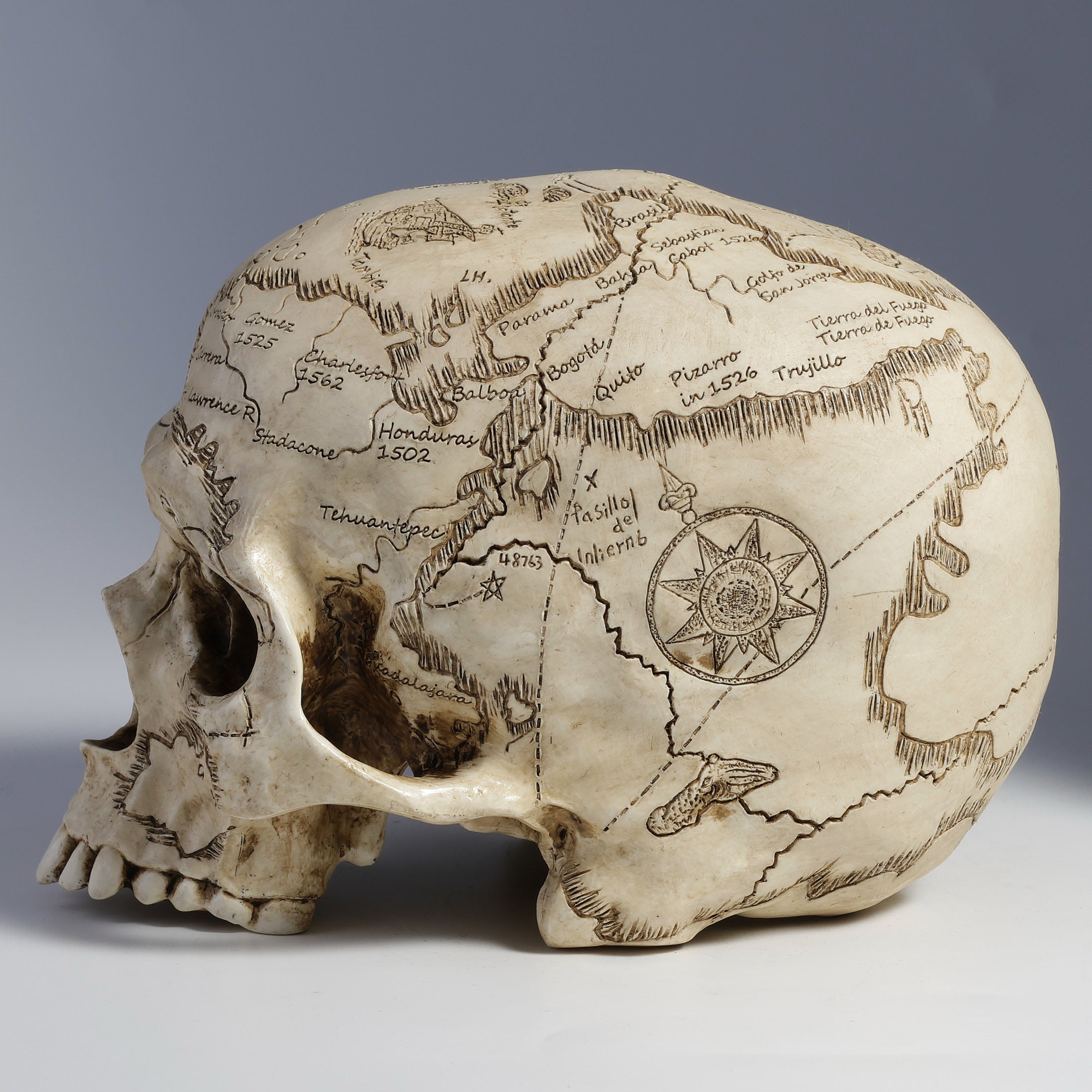 Craniumography Skull Map