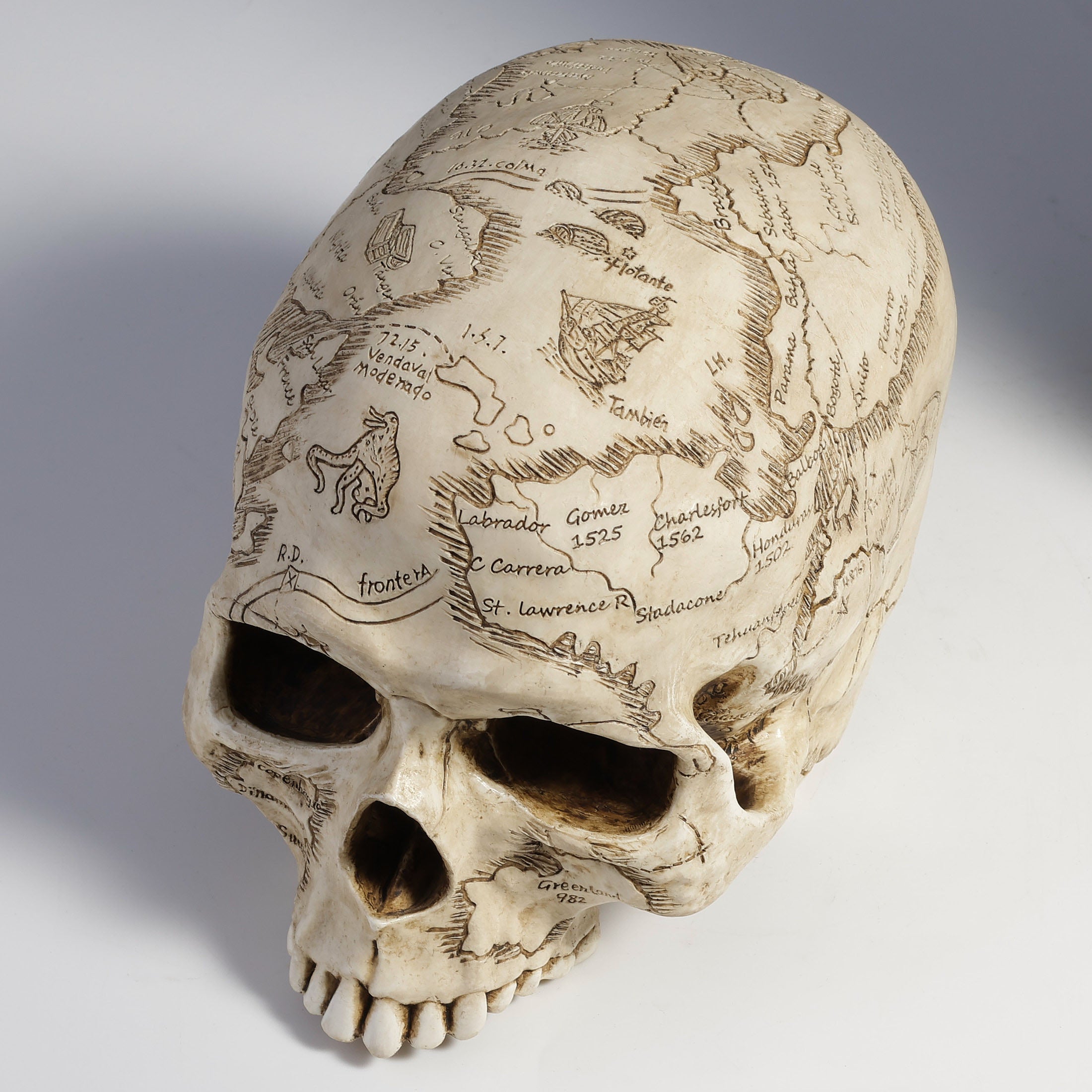 Craniumography Skull Map