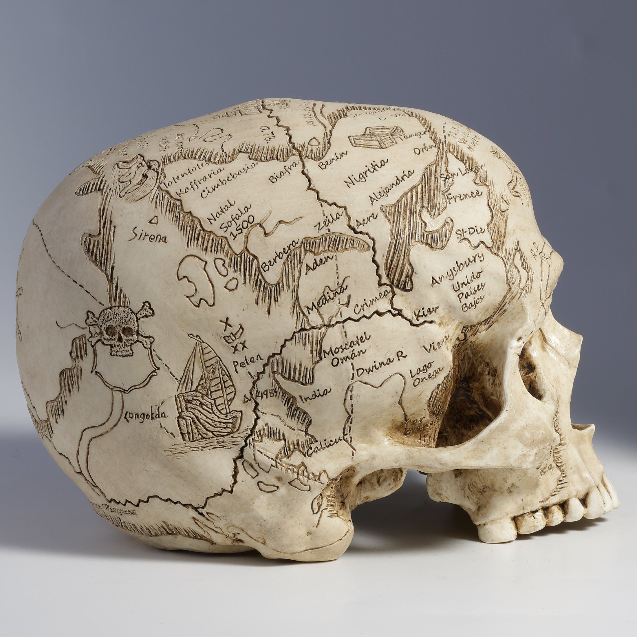 Craniumography Skull Map