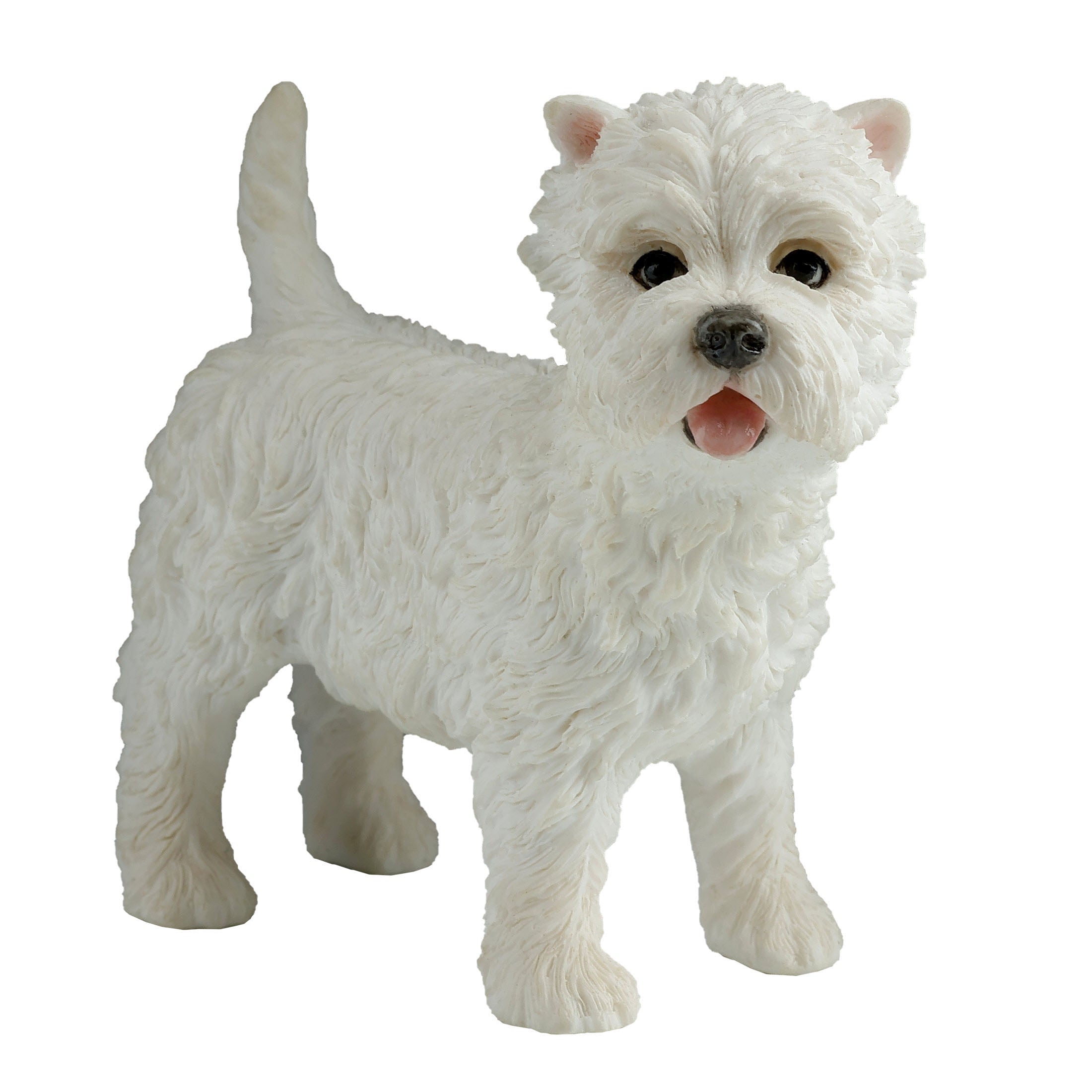 West Highland White Terrier