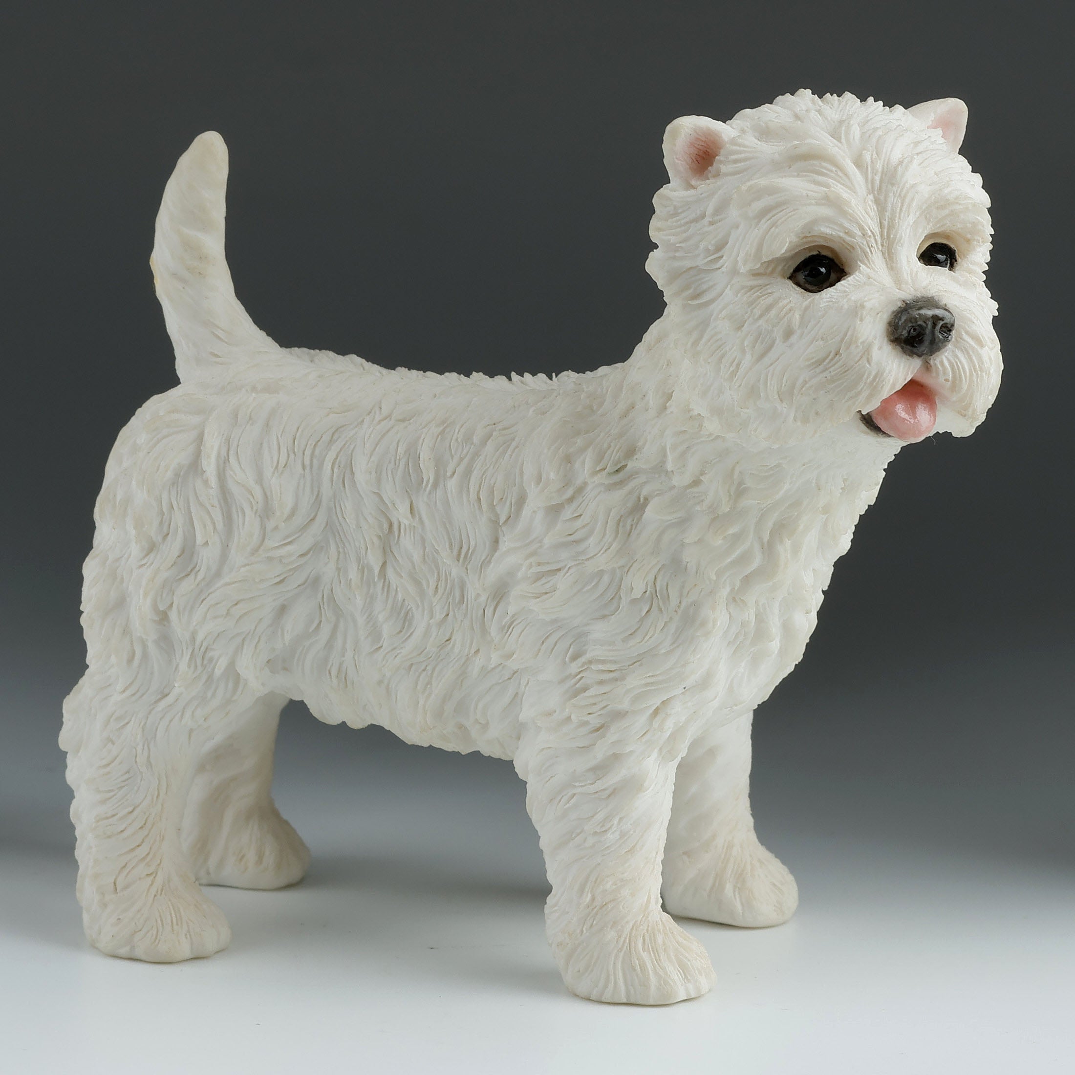 West Highland White Terrier