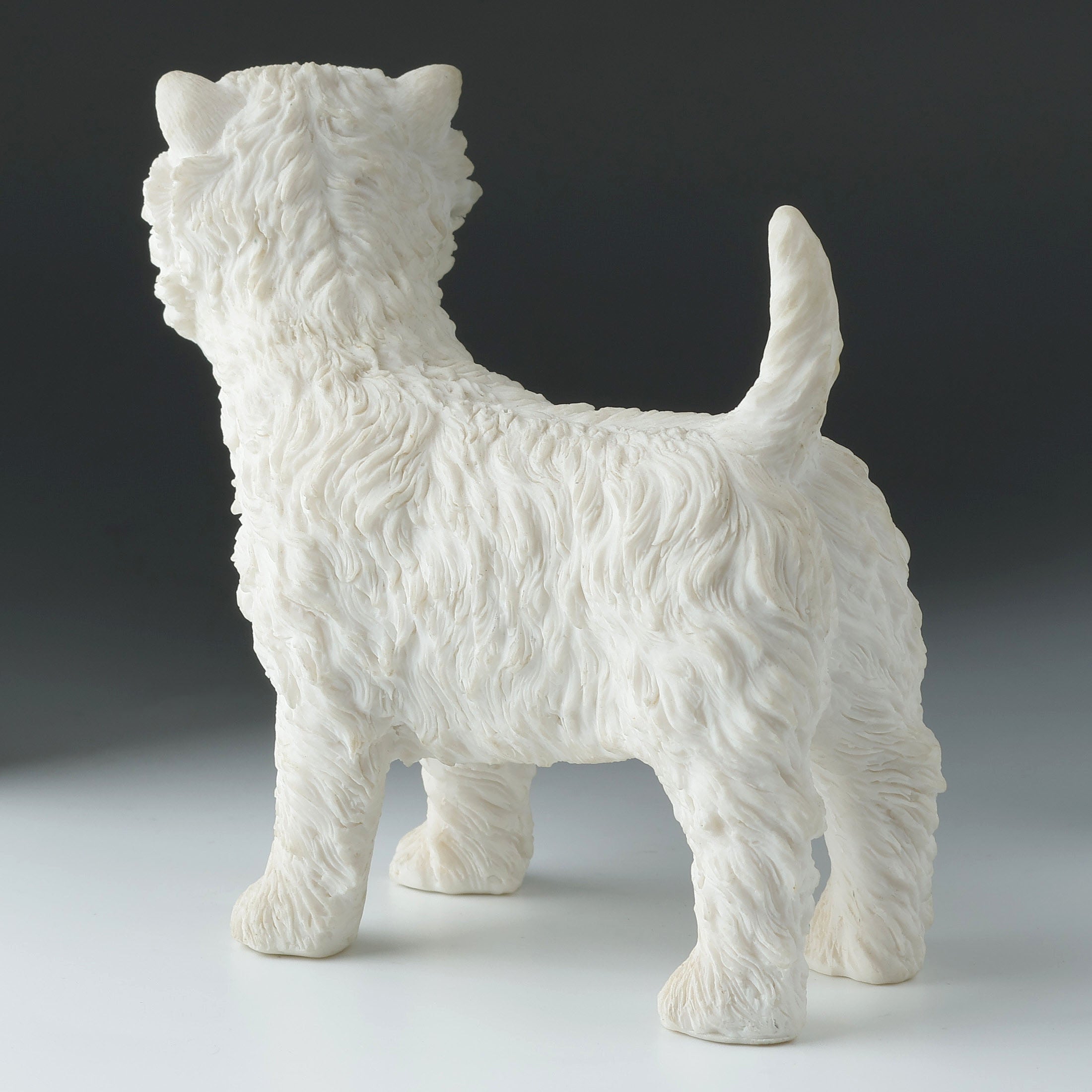 West Highland White Terrier