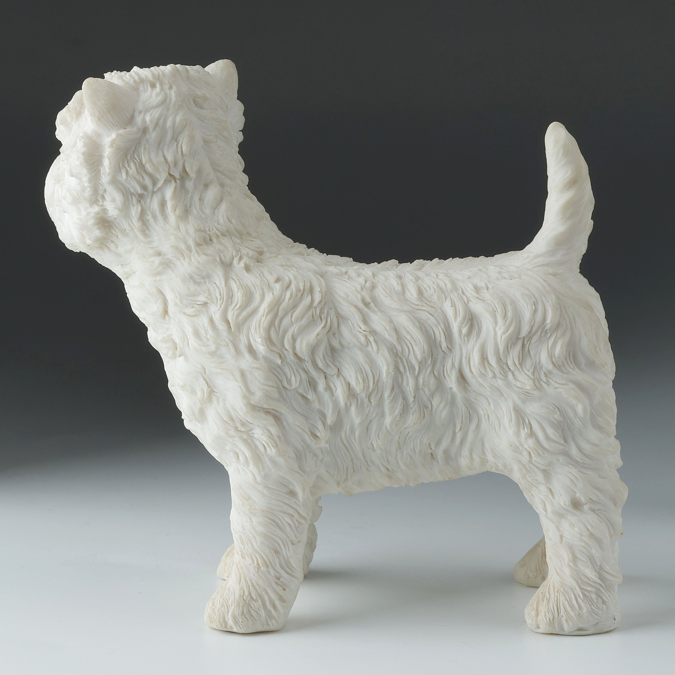 West Highland White Terrier