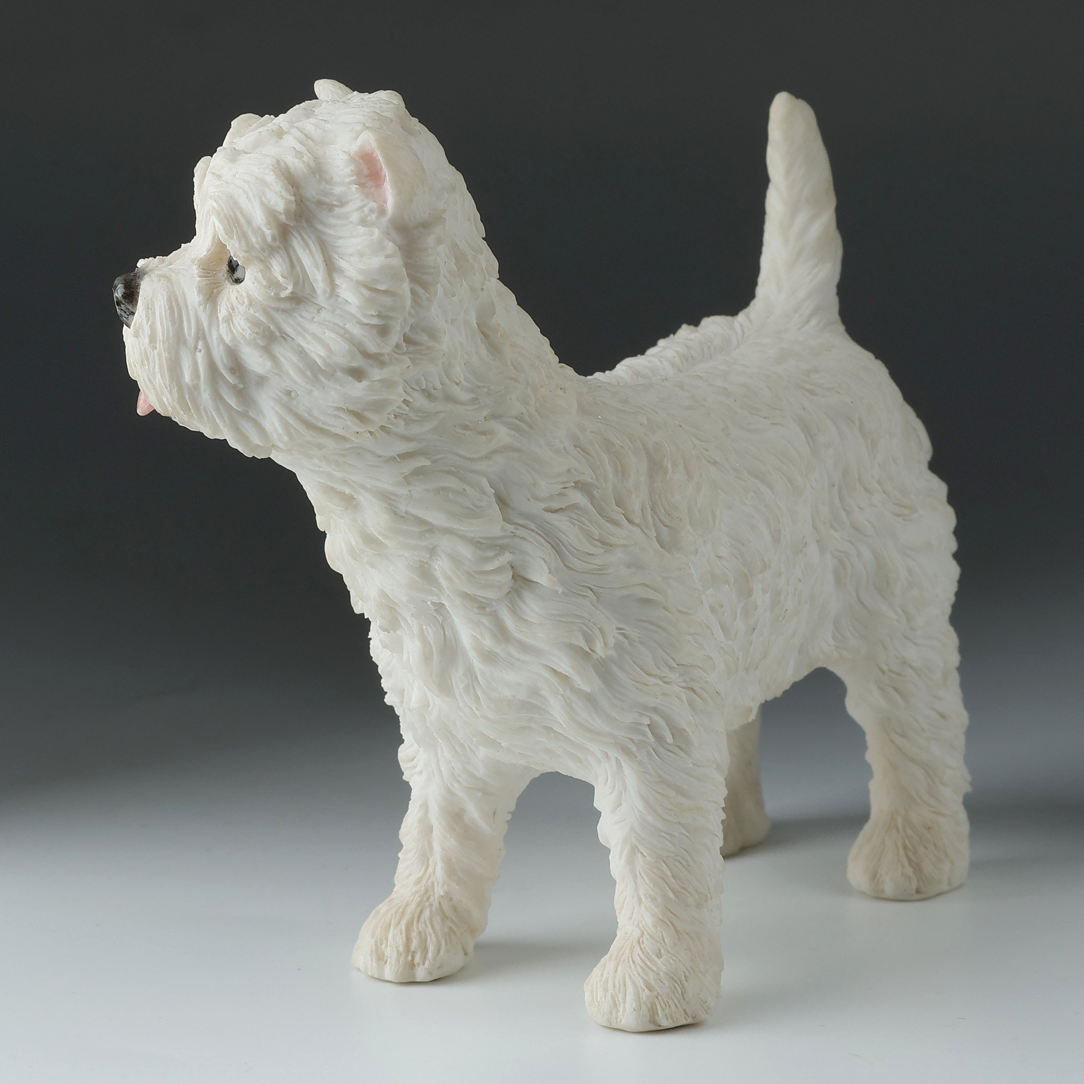 West Highland White Terrier
