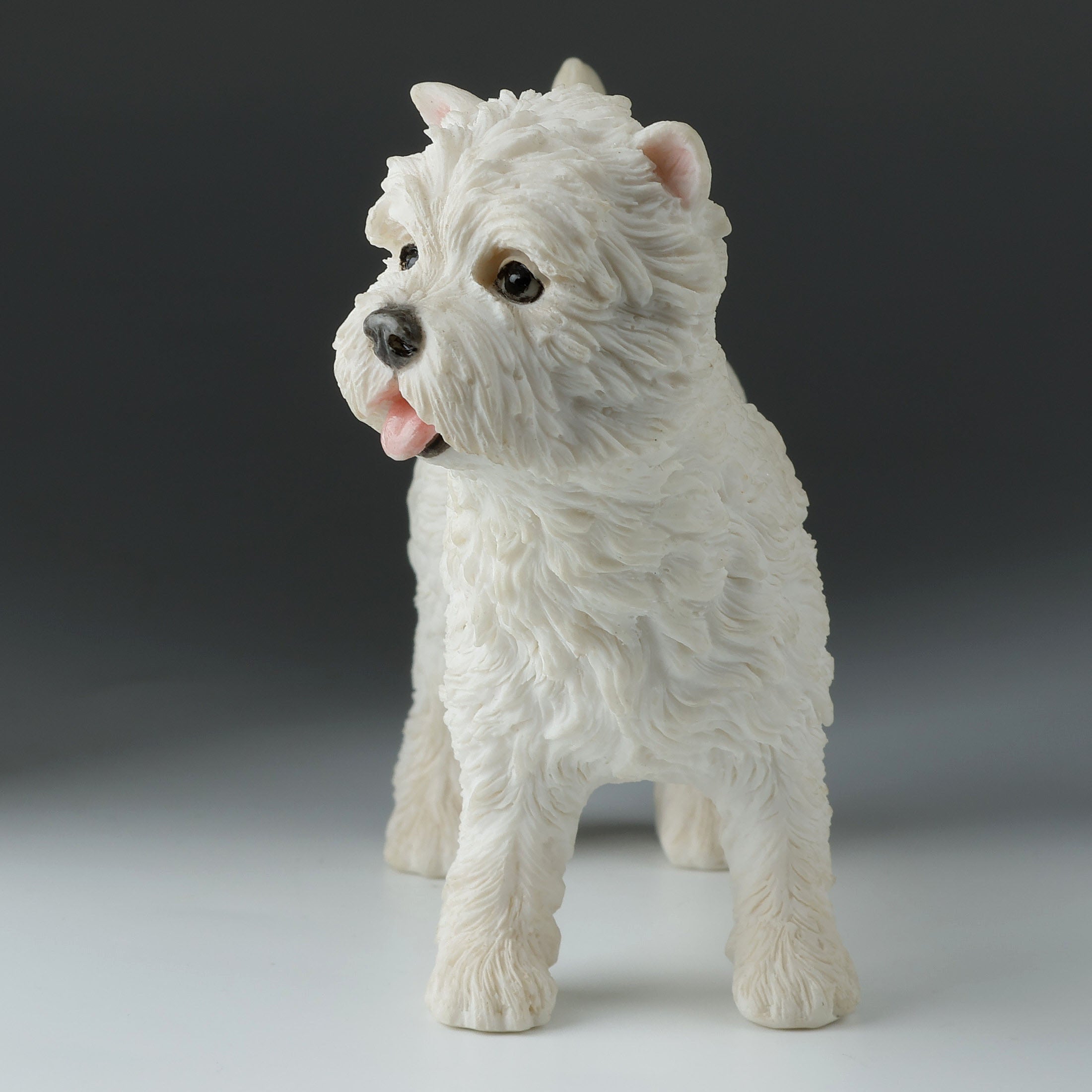 West Highland White Terrier