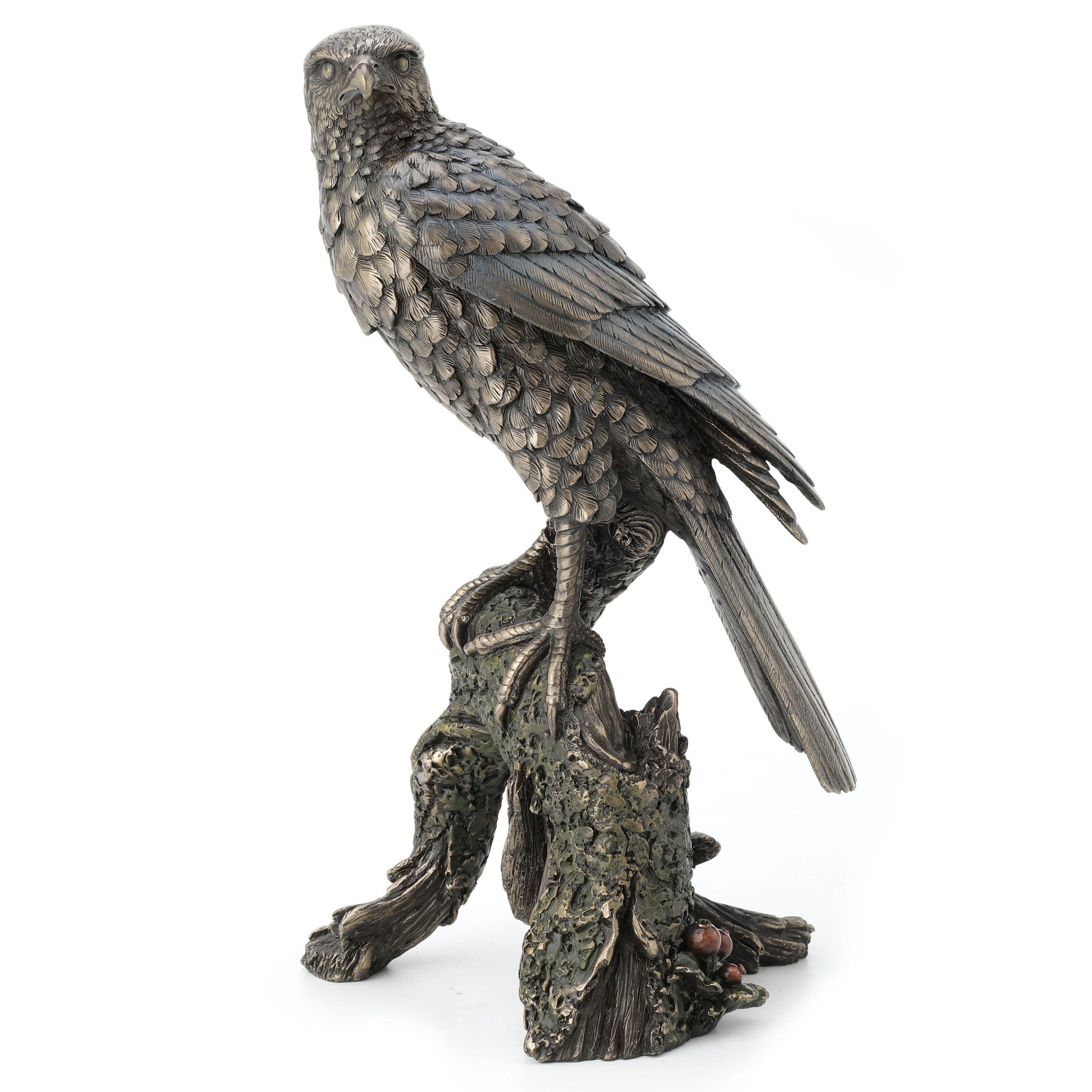 Sparrow Hawk