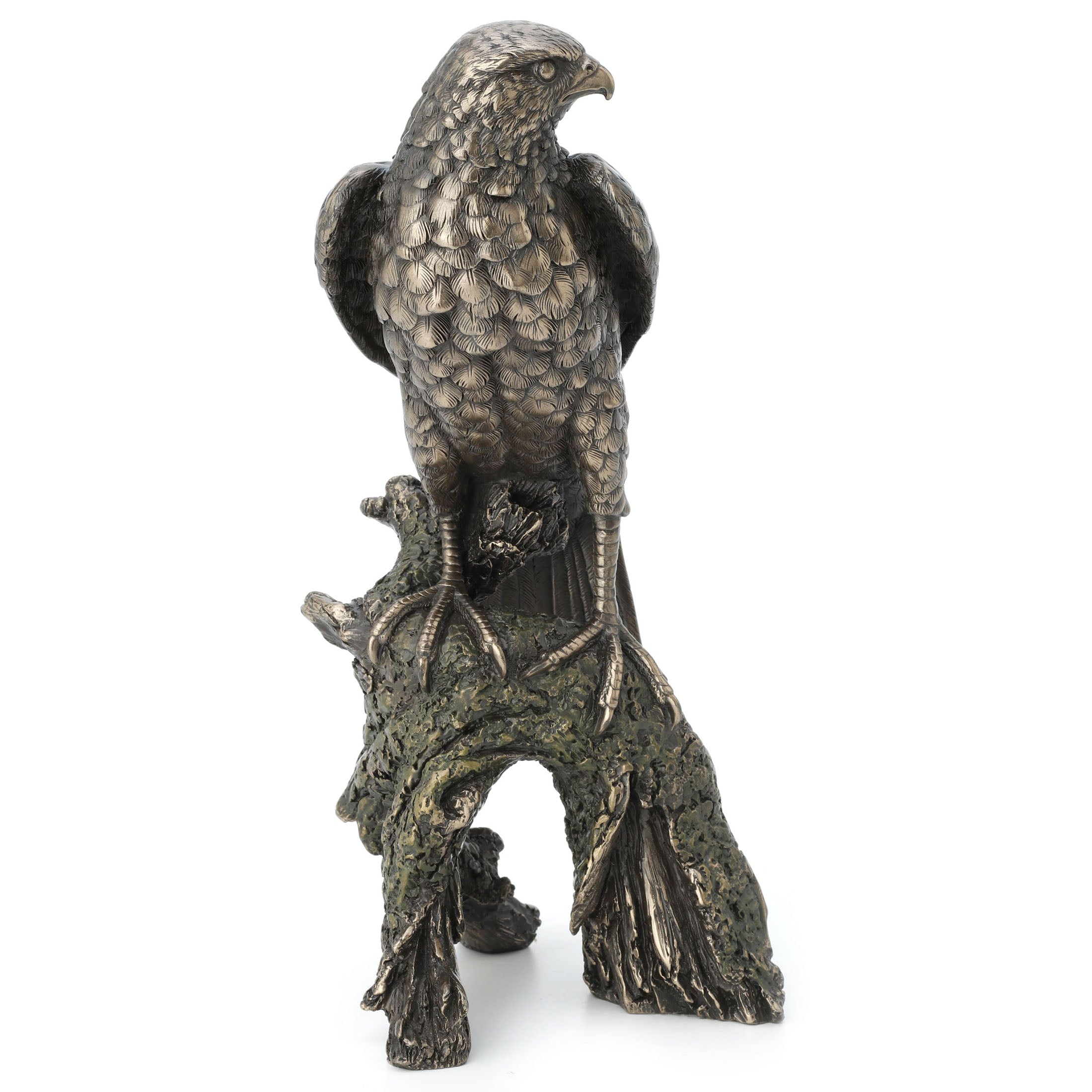 Sparrow Hawk