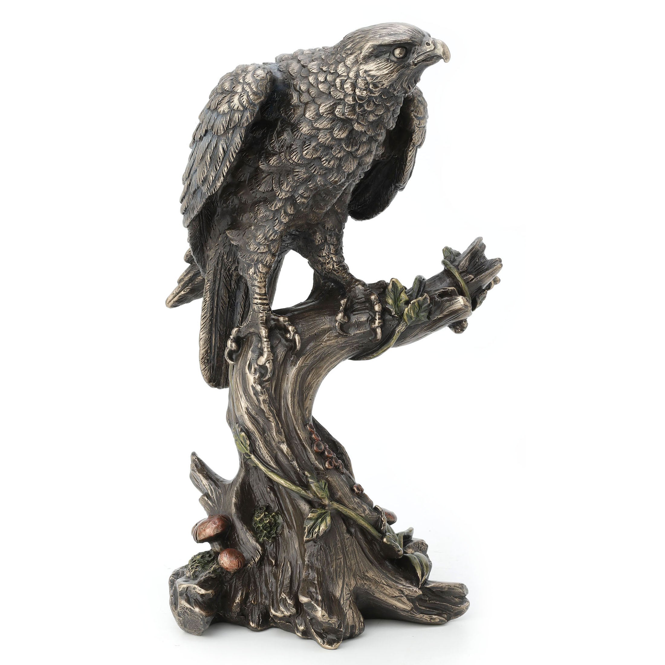 Peregrine Falcon