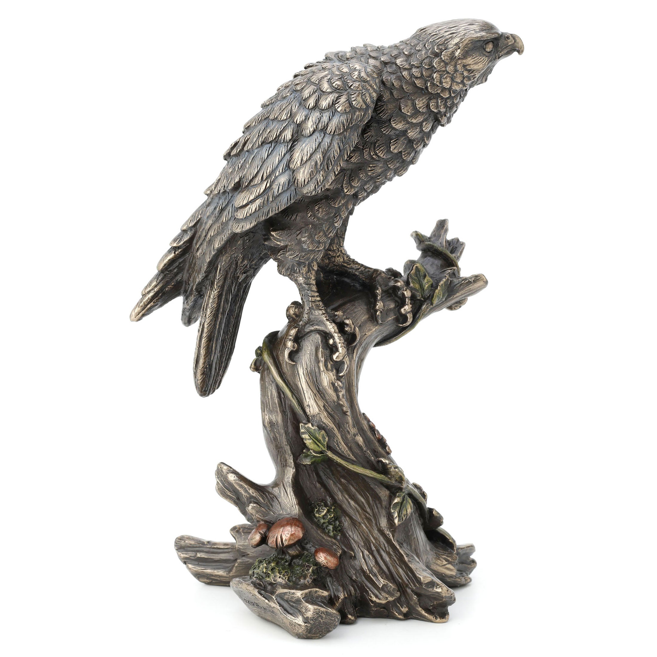Peregrine Falcon