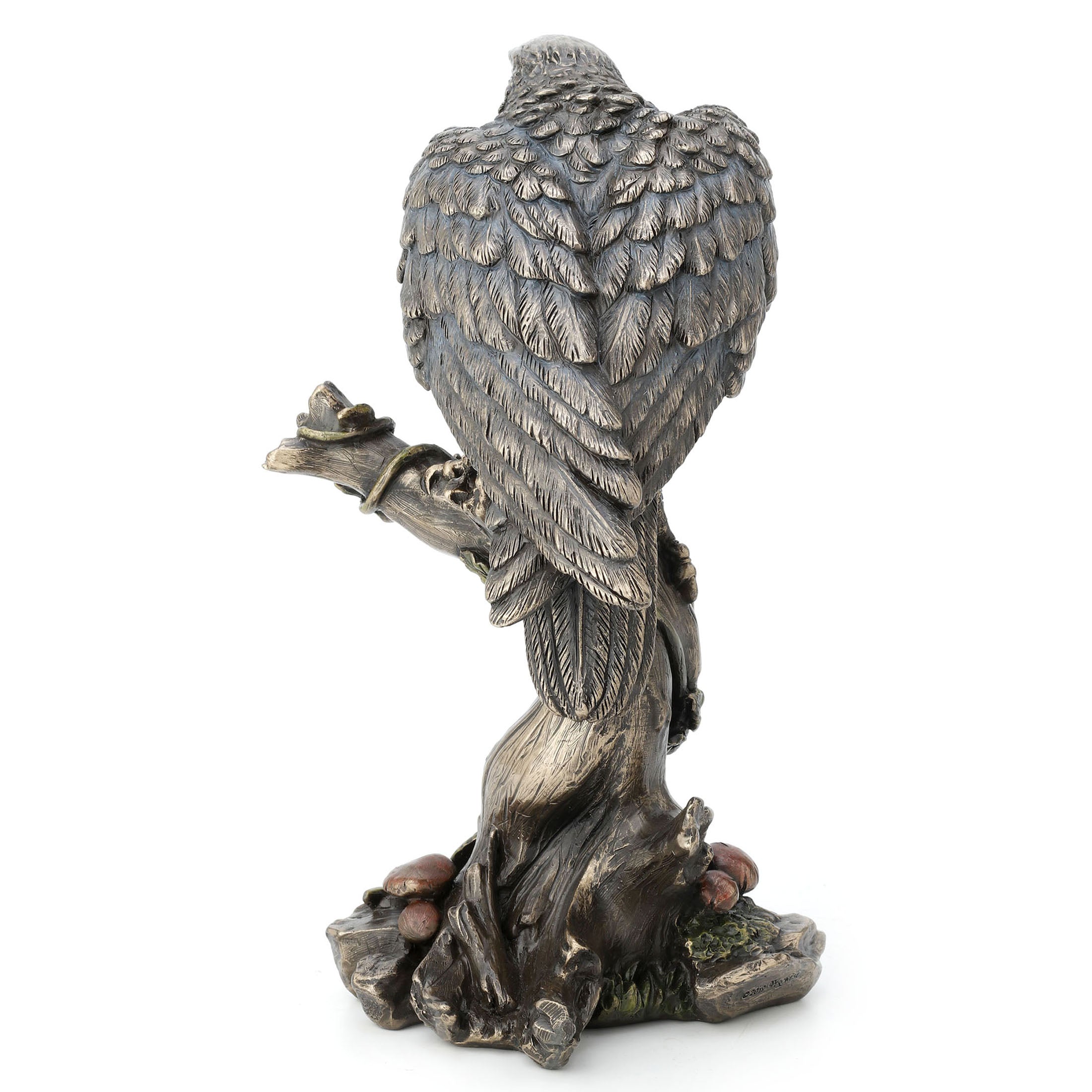 Peregrine Falcon