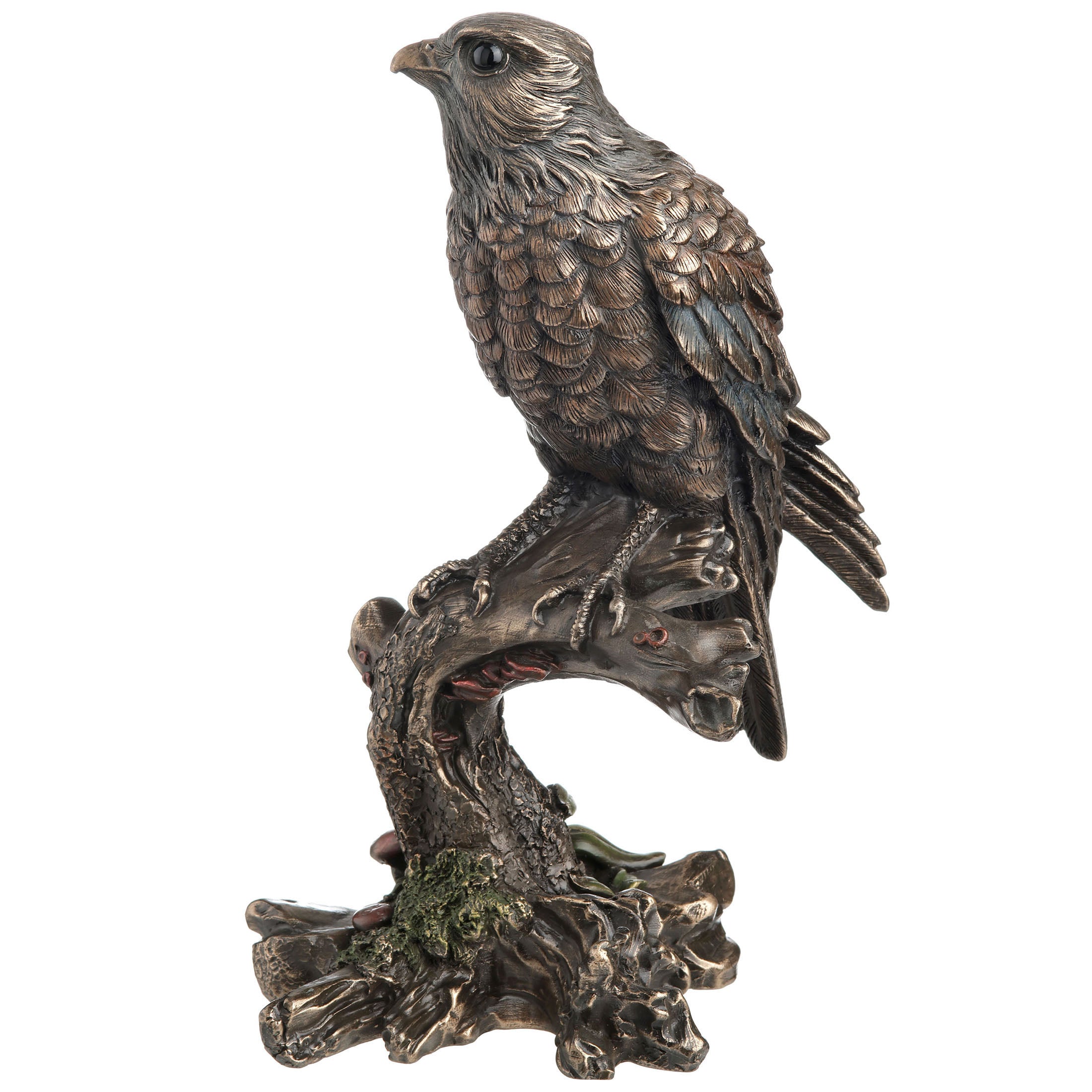 Kestrel Falcon