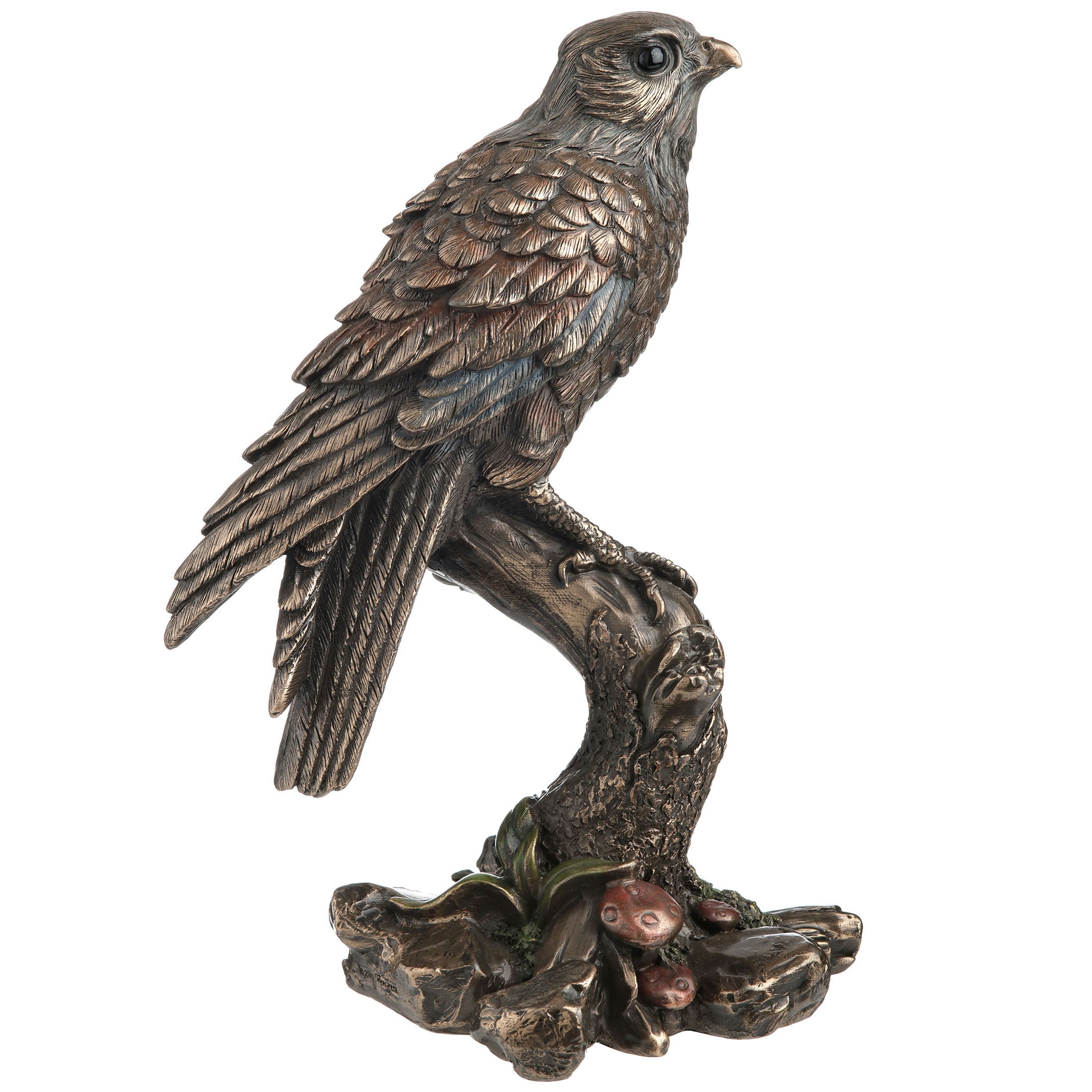Kestrel Falcon