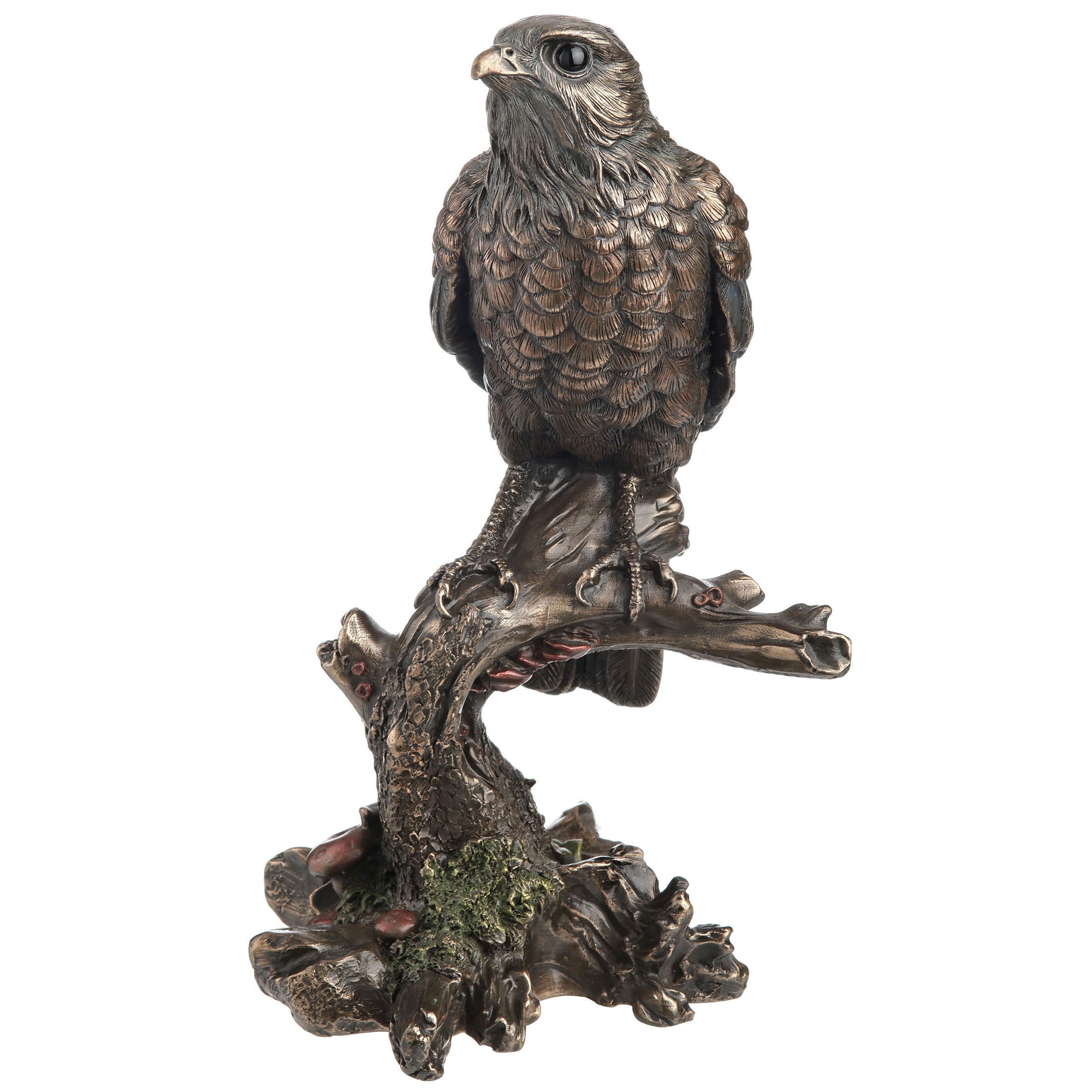 Kestrel Falcon