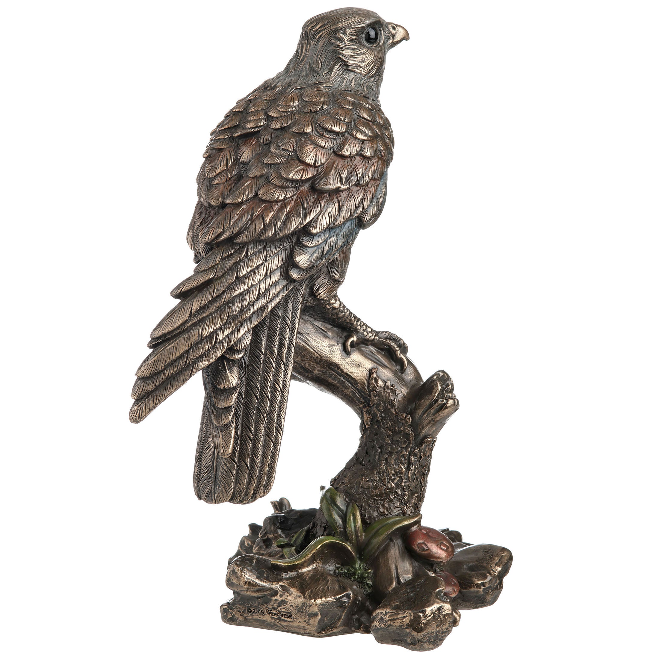 Kestrel Falcon
