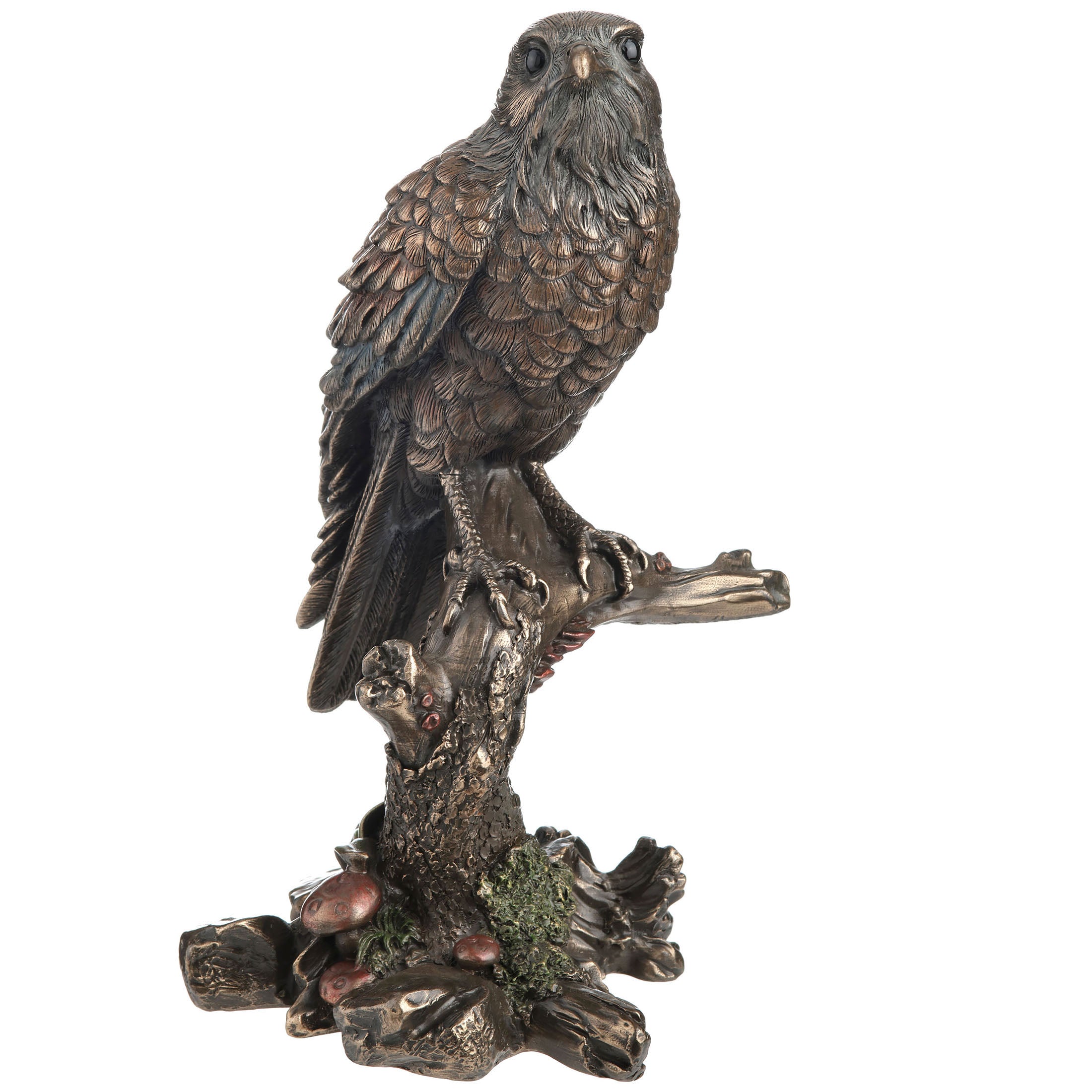 Kestrel Falcon
