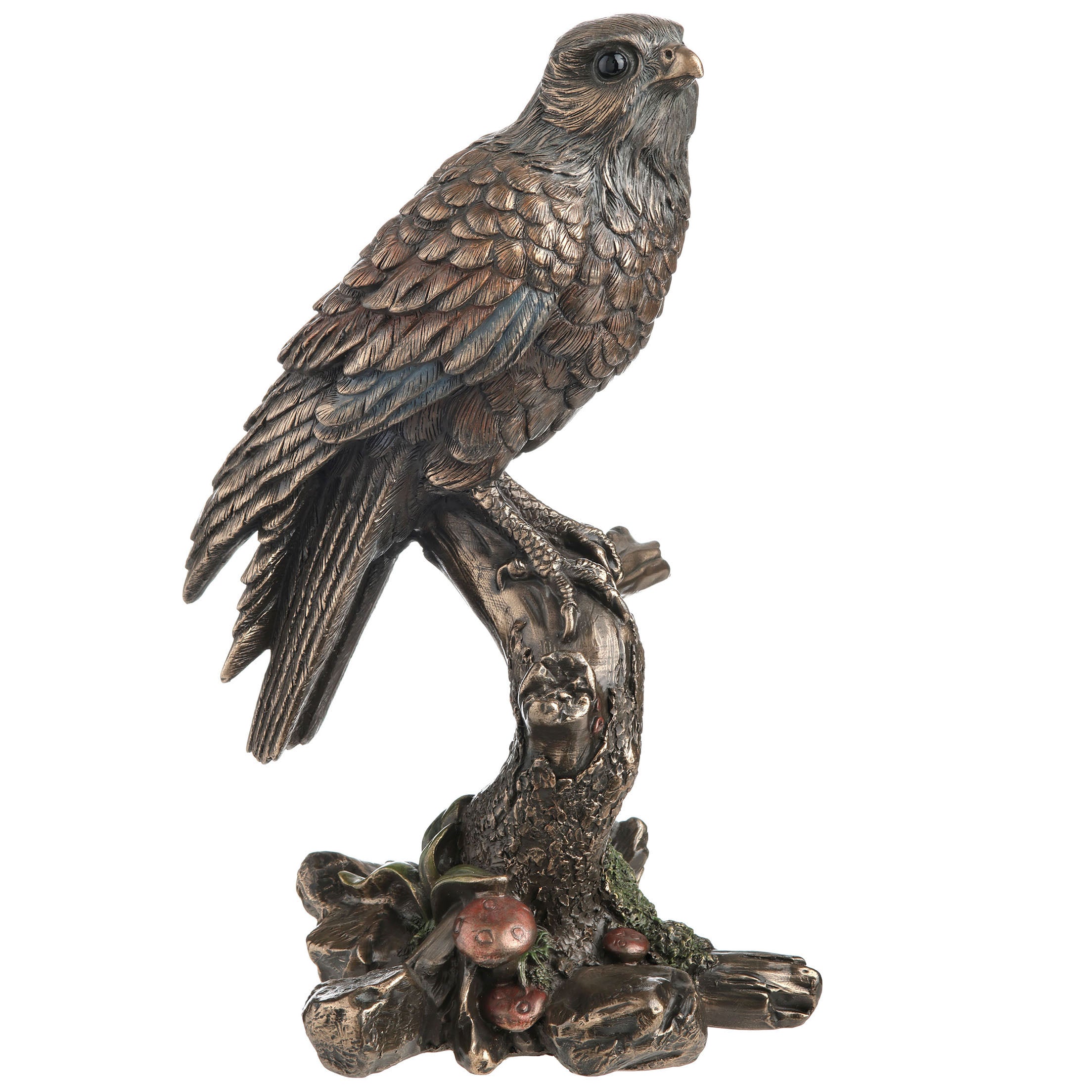 Kestrel Falcon