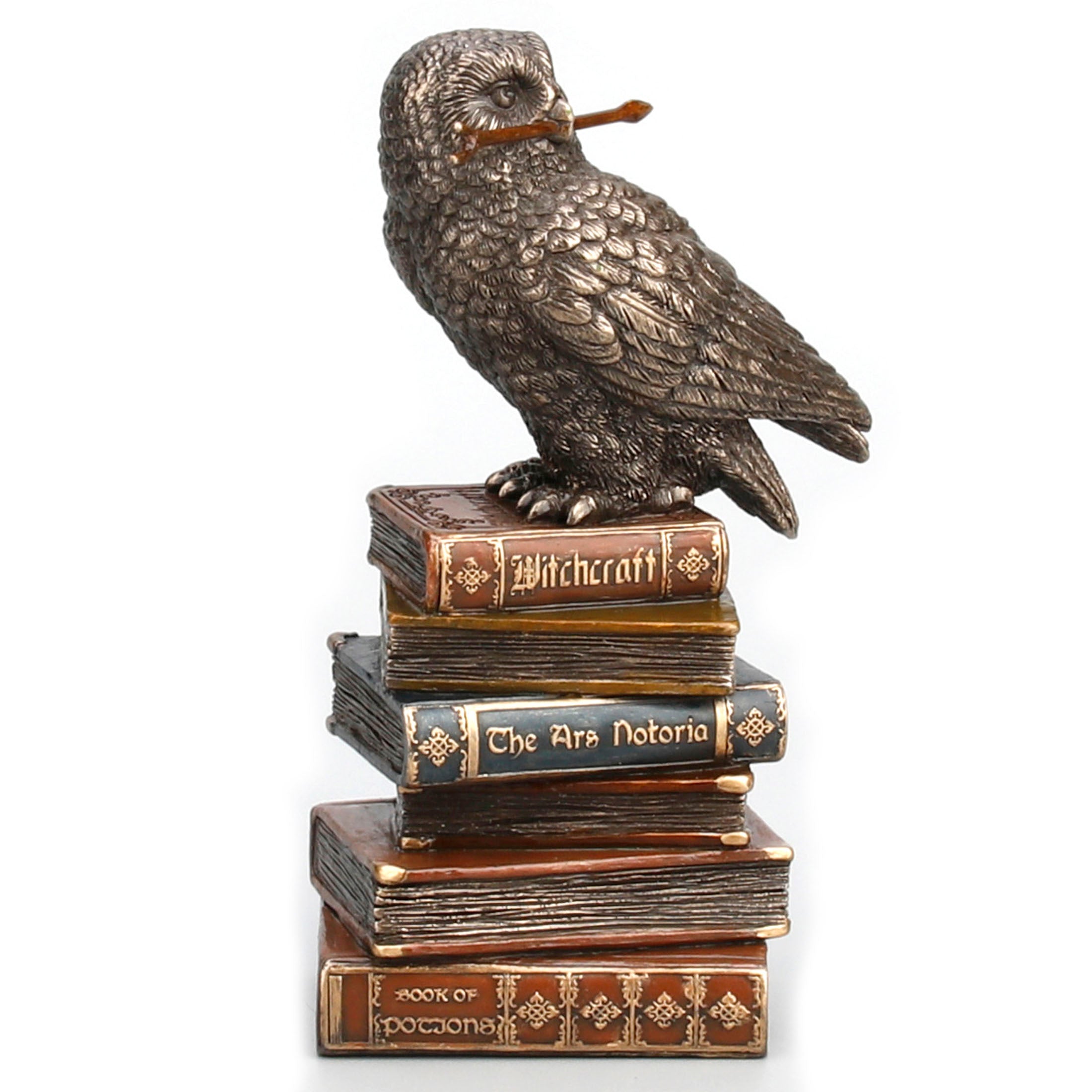 Magic Wand Snowy Owl On Book Stack