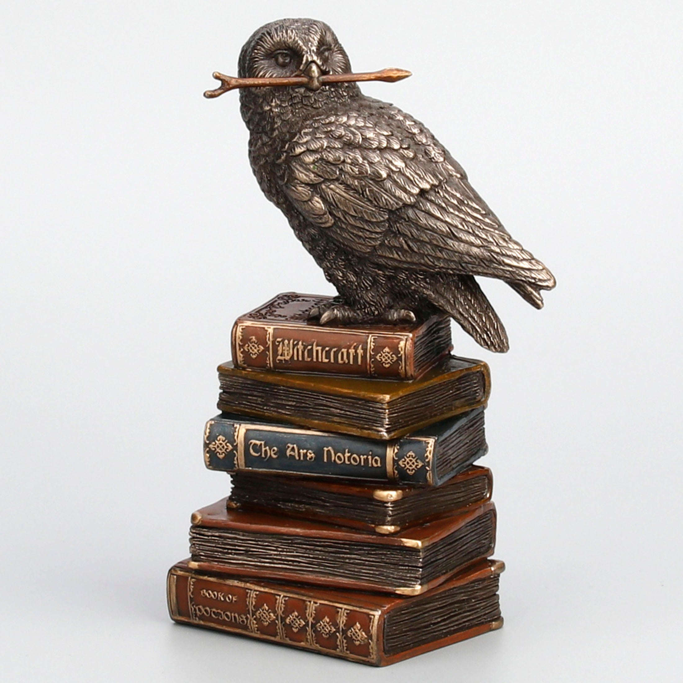 Magic Wand Snowy Owl On Book Stack