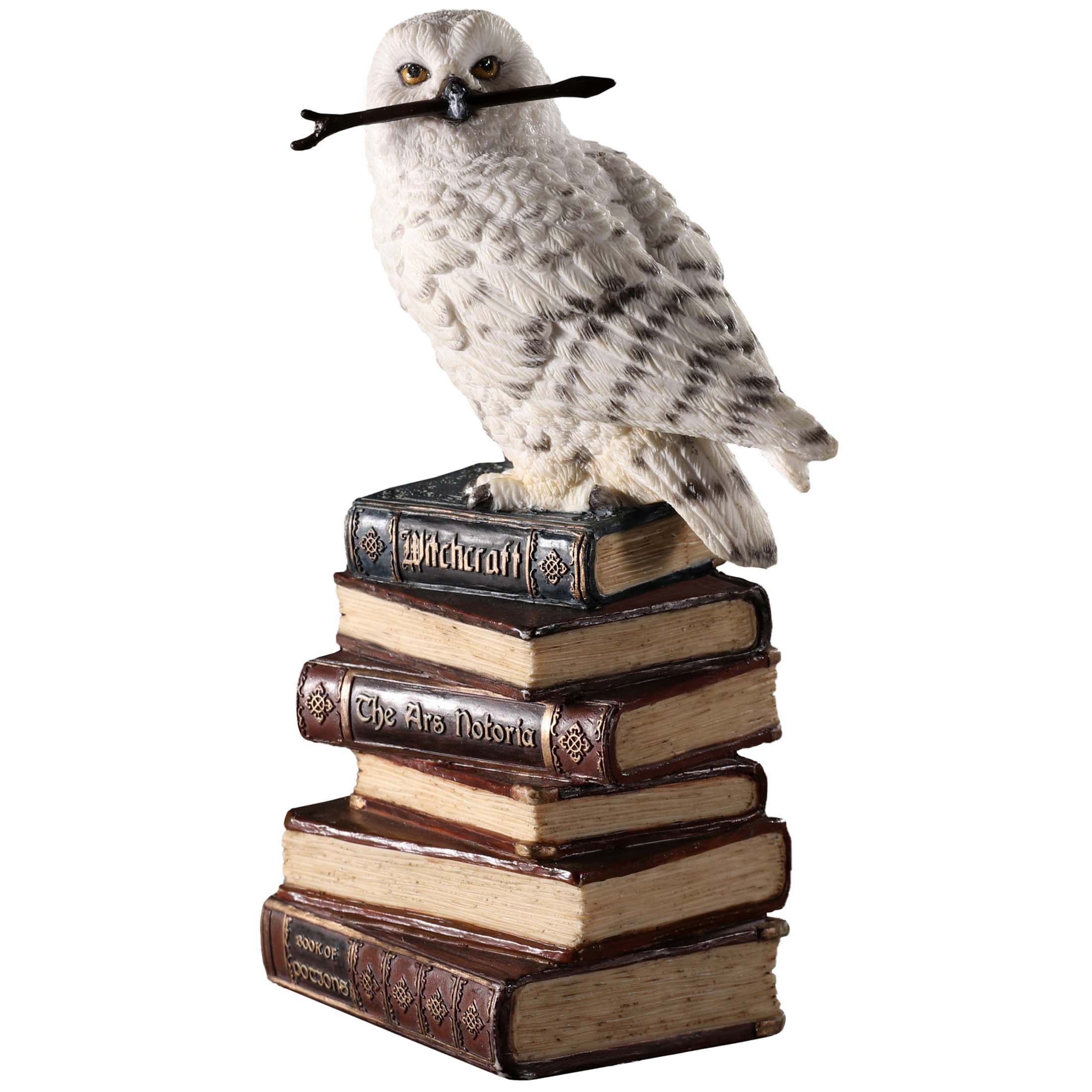 Magic Wand Snowy Owl On Book Stack