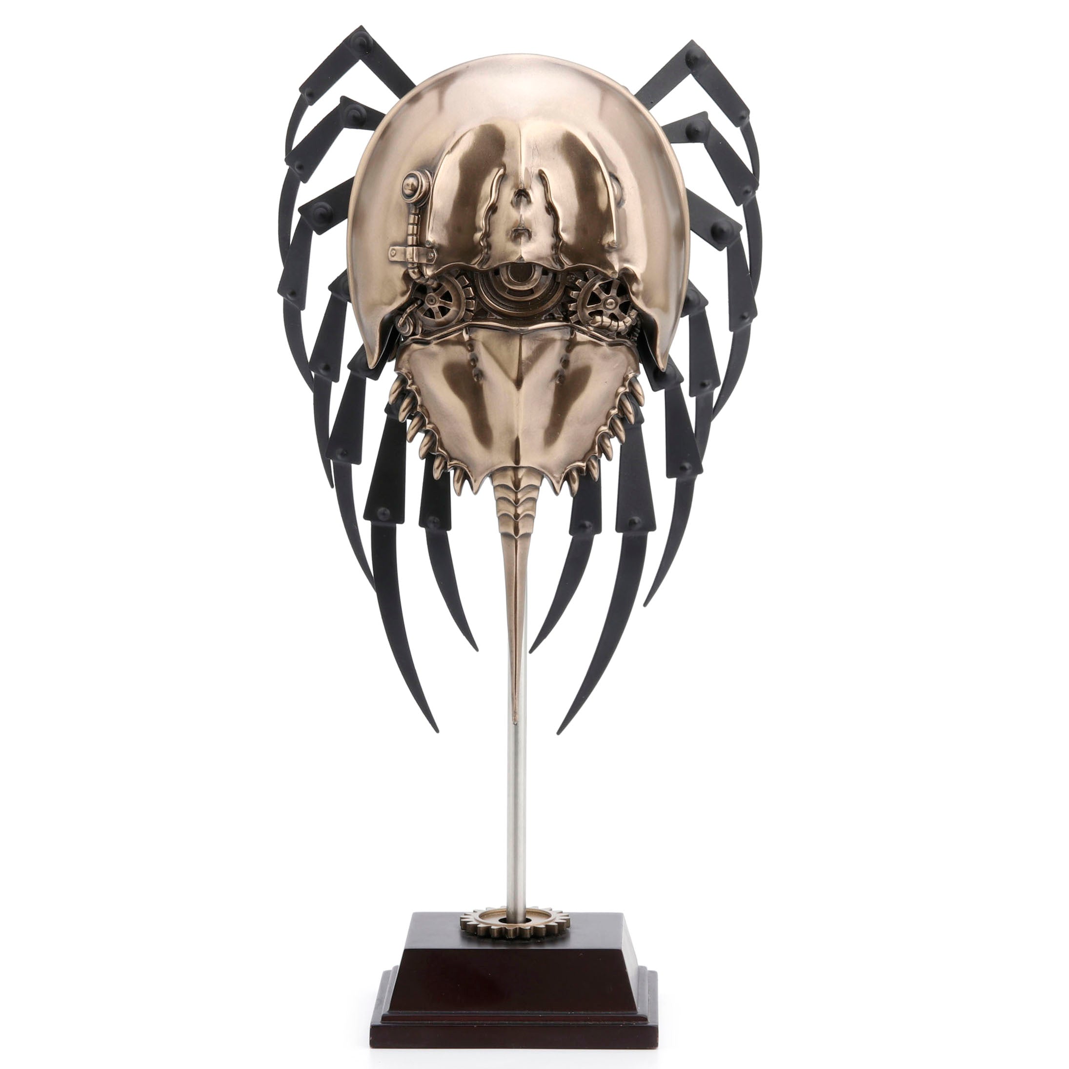 Steampunk Horseshoe Crab On Display Stand