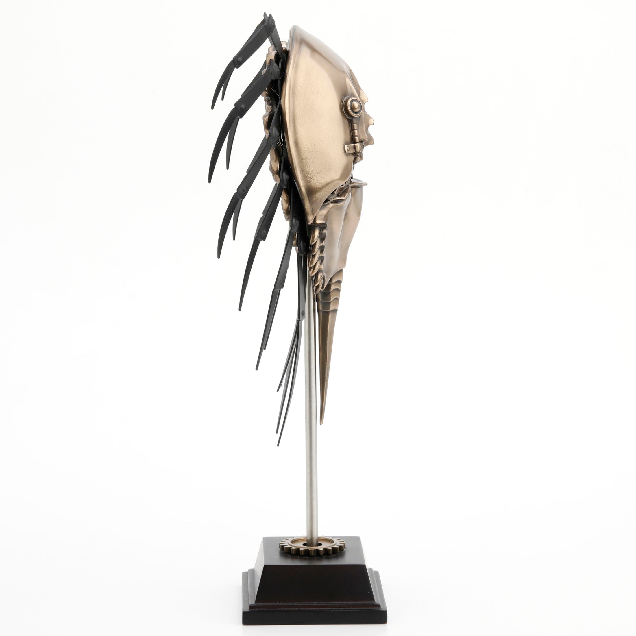 Steampunk Horseshoe Crab On Display Stand
