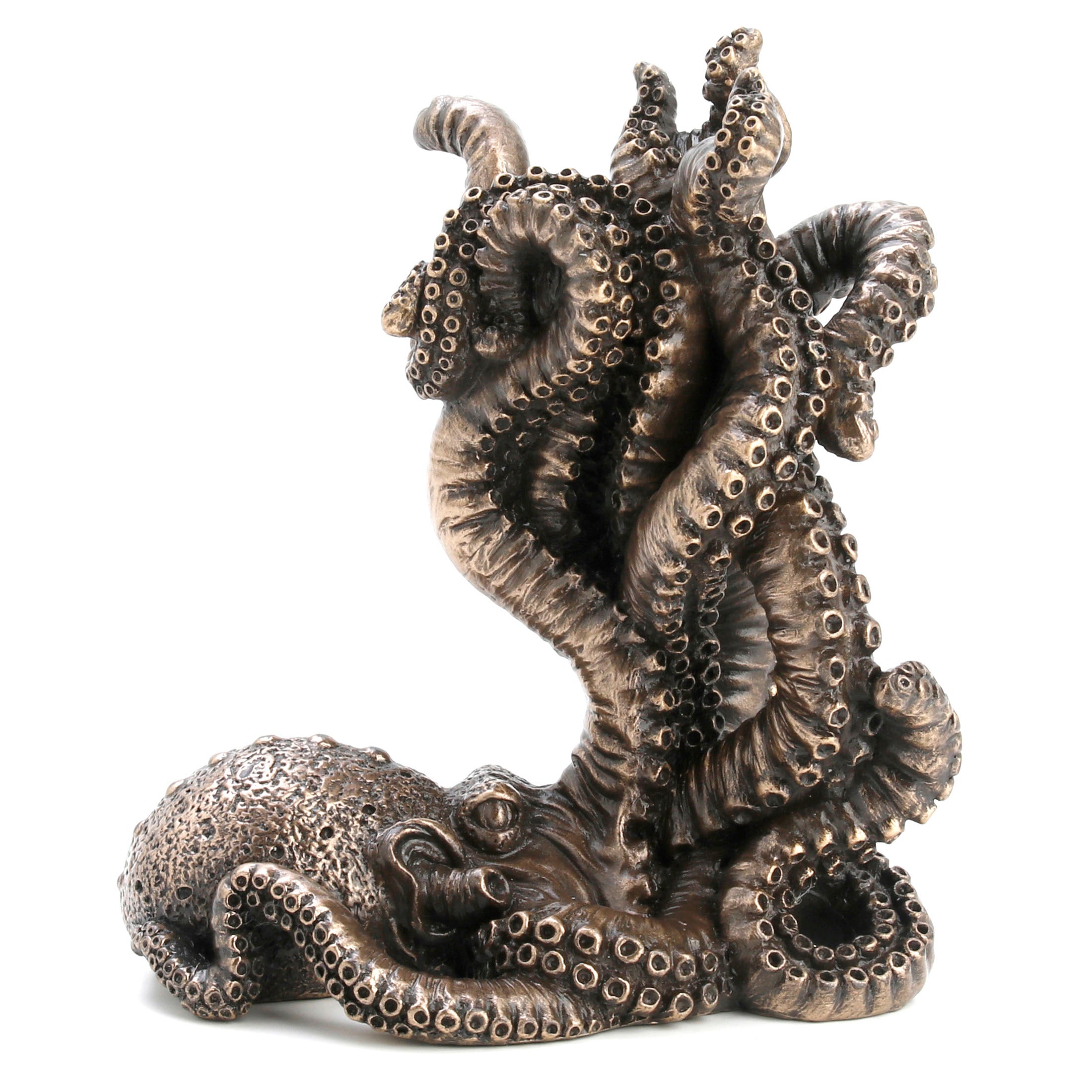 Suspicious Corner Room Octopus