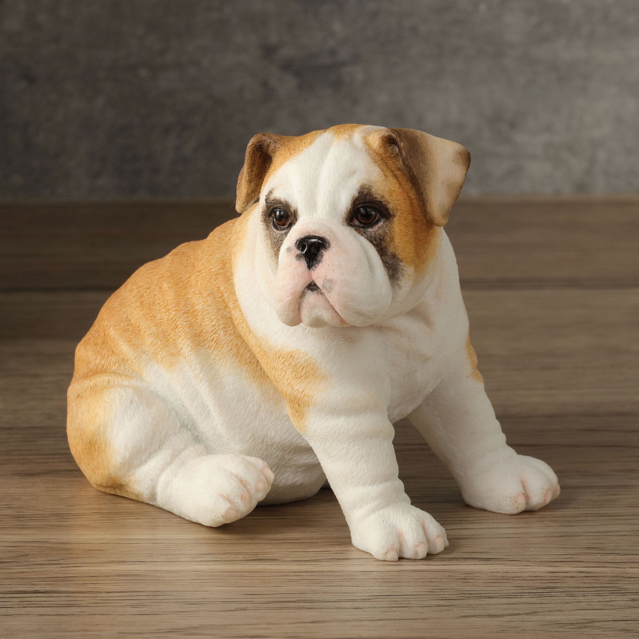 Bulldog Puppy Sitting