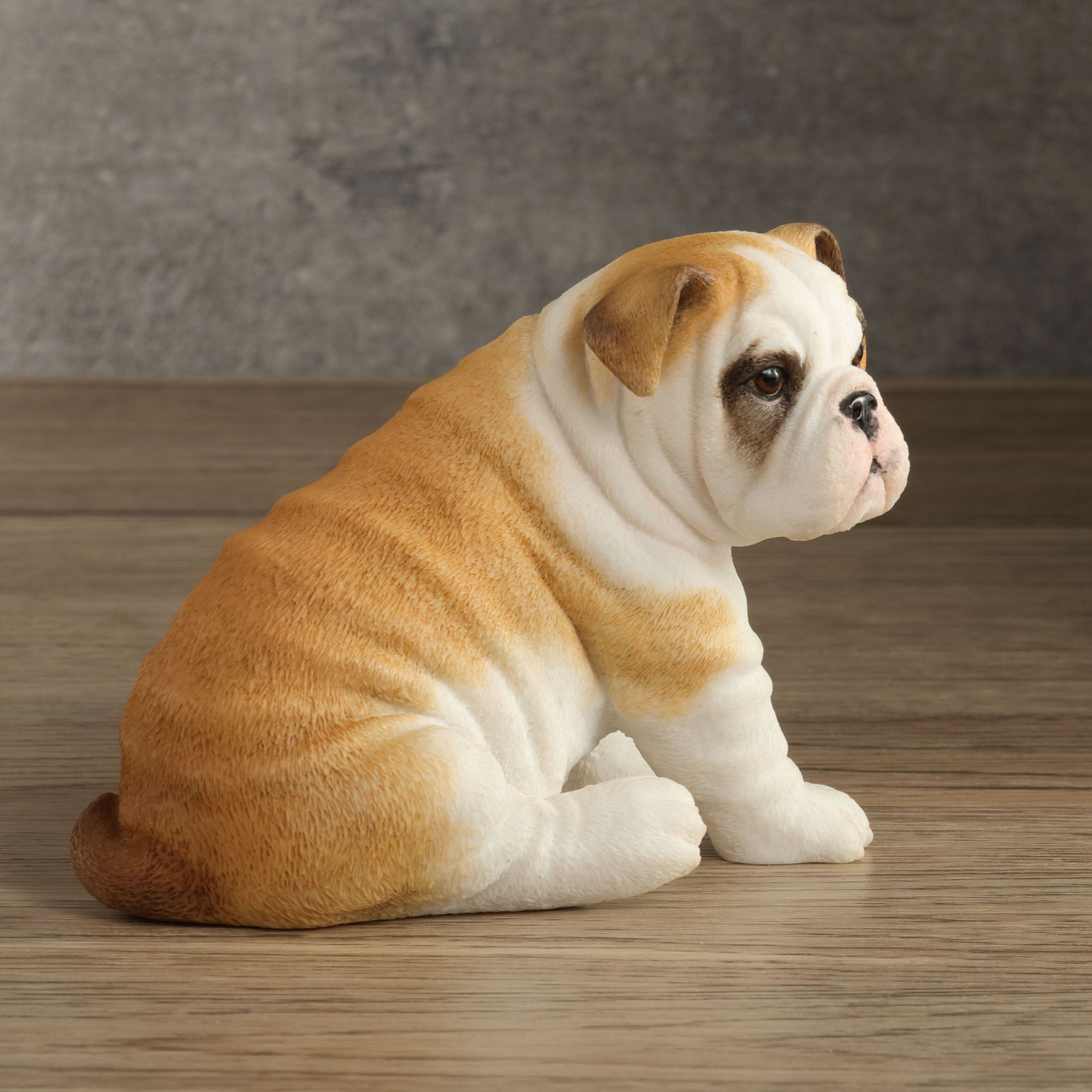 Bulldog Puppy Sitting