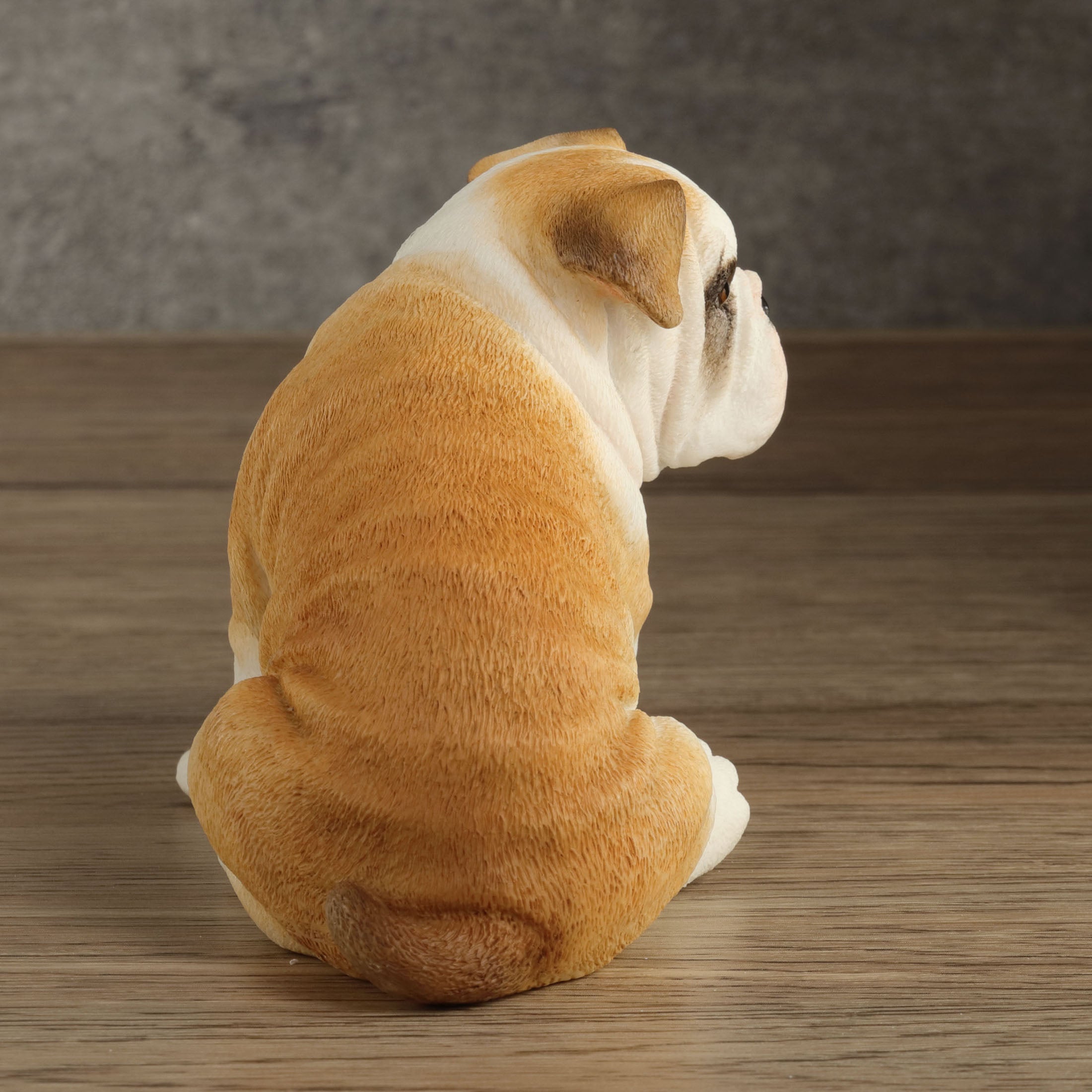 Bulldog Puppy Sitting