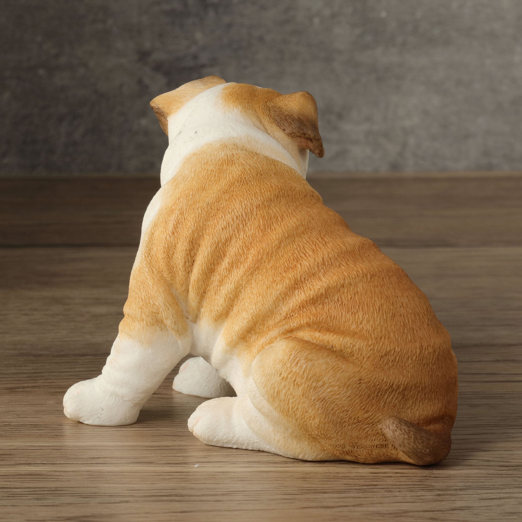 Bulldog Puppy Sitting