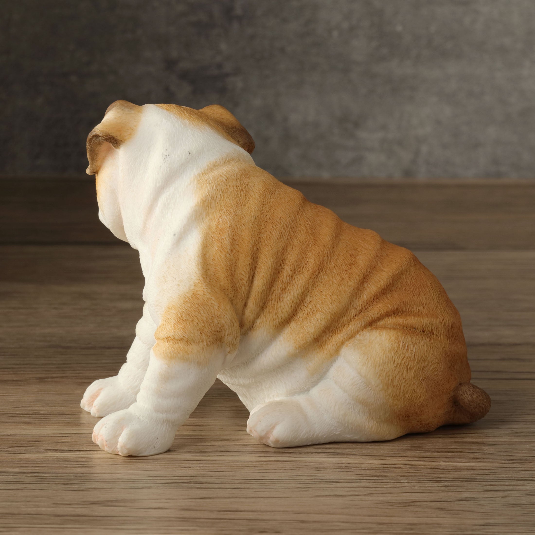 Bulldog Puppy Sitting