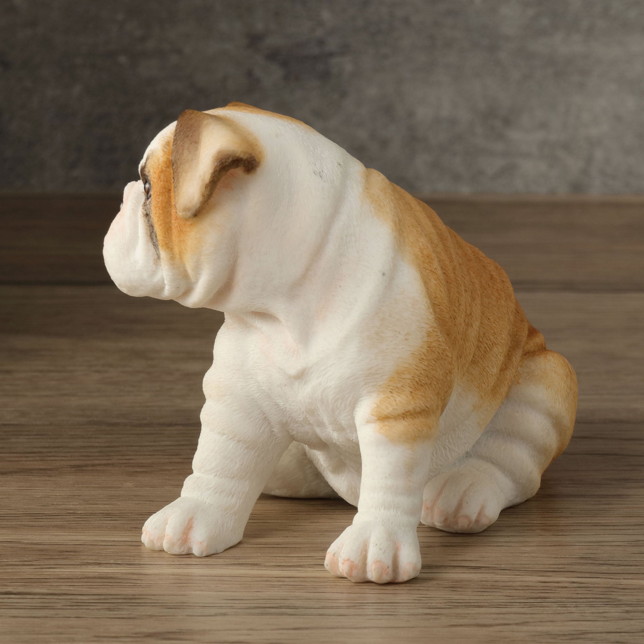 Bulldog Puppy Sitting