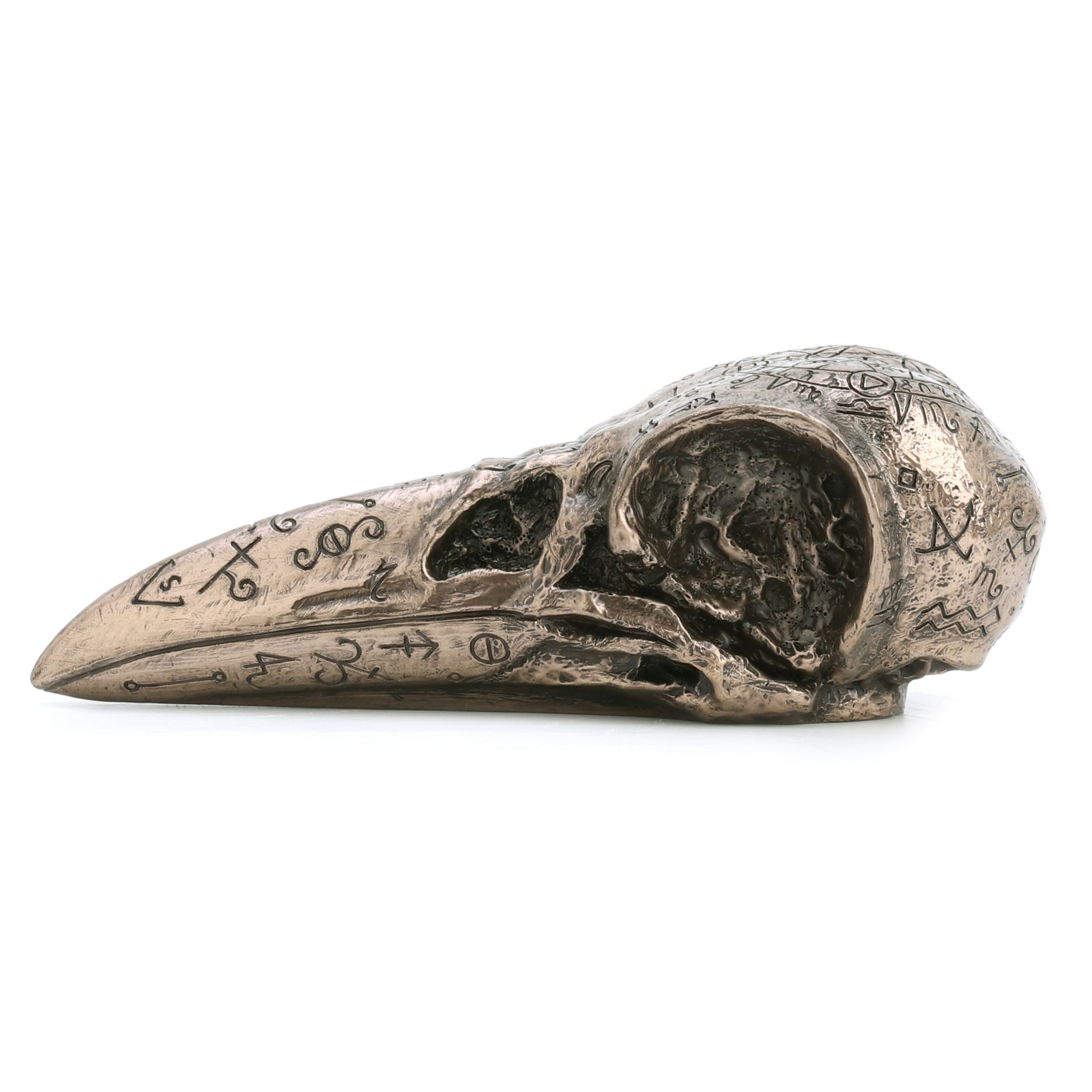 Raven Skull
