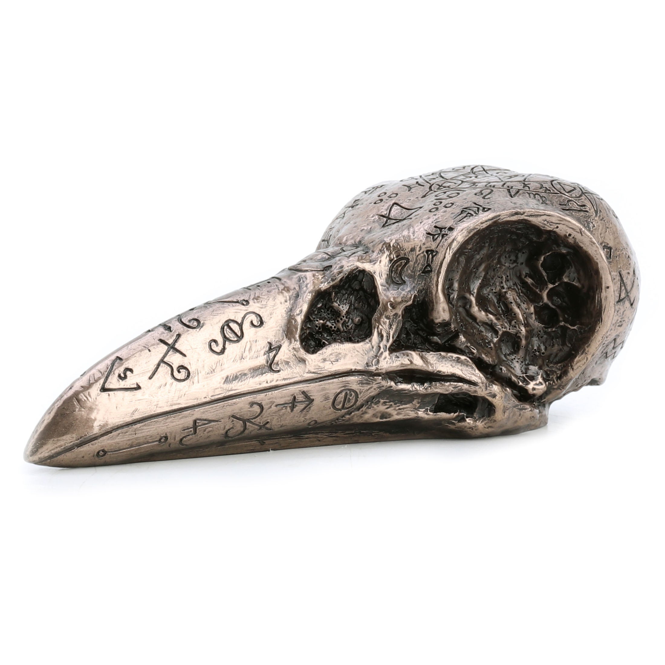 Raven Skull
