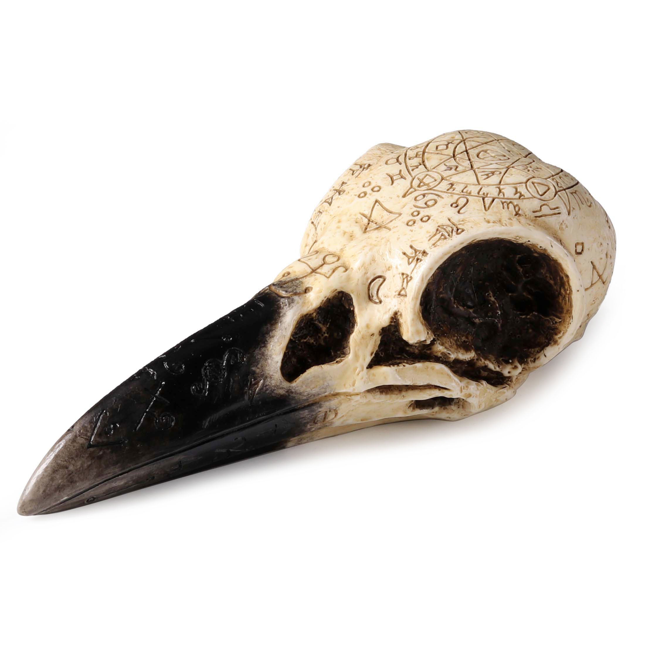 Raven Skull