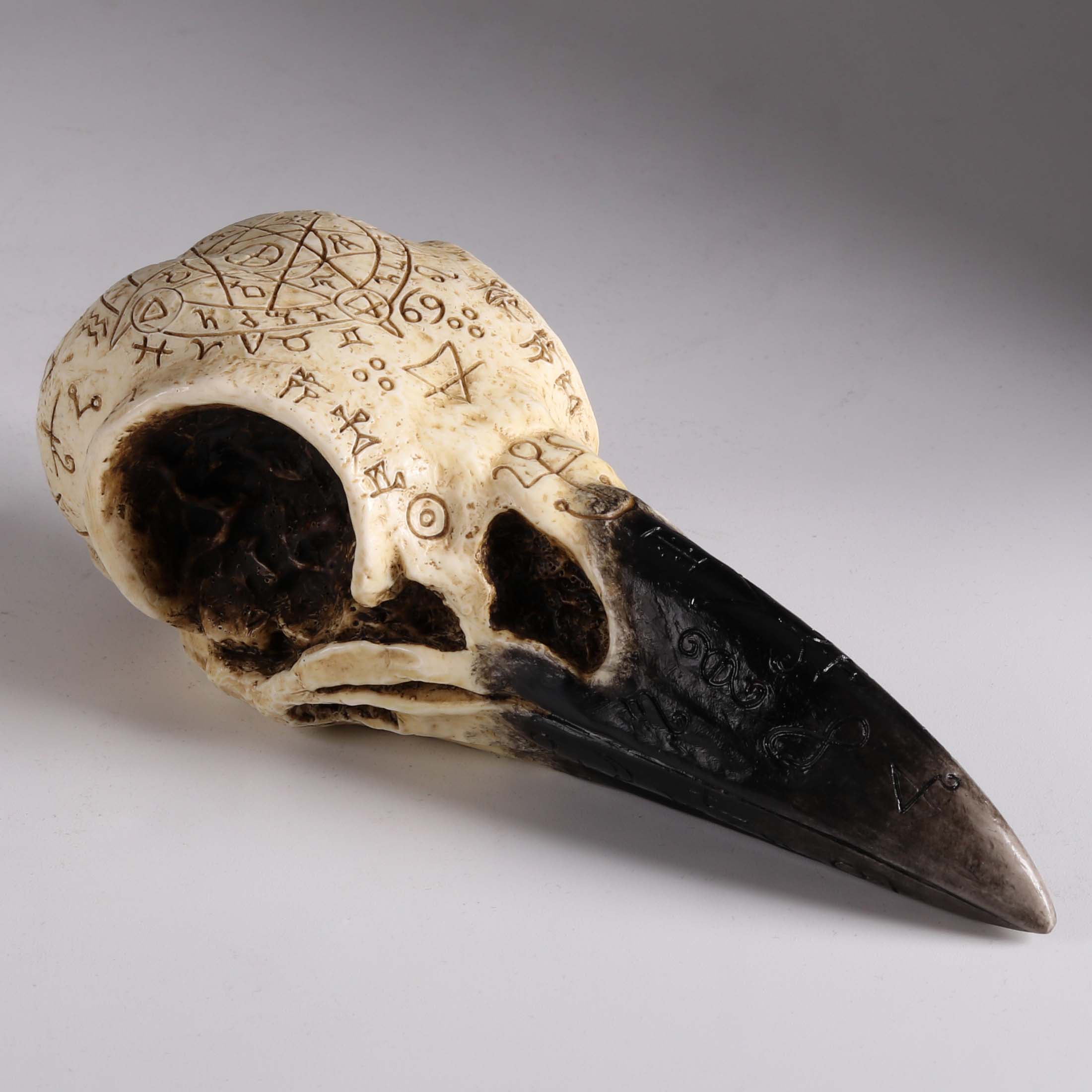Raven Skull
