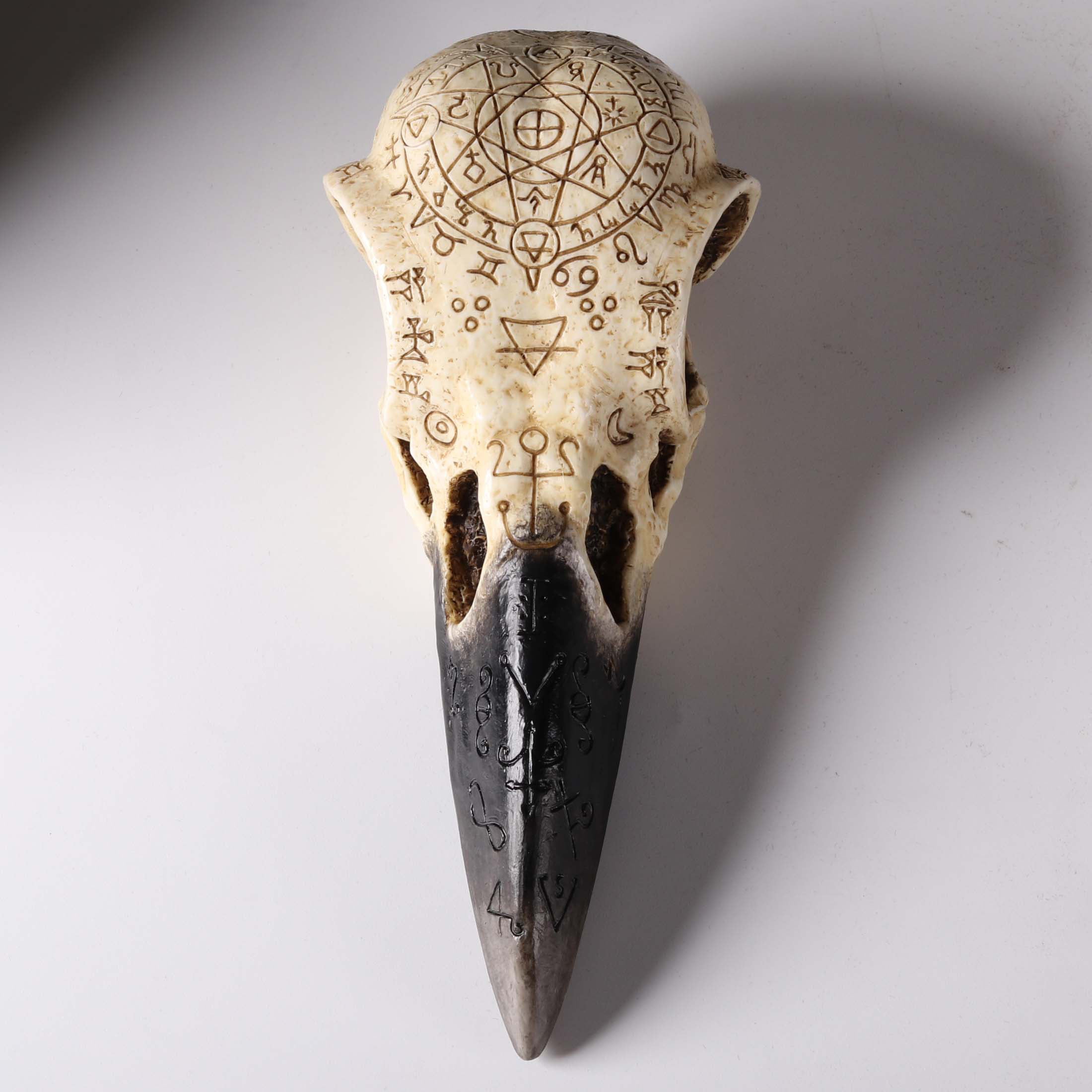 Raven Skull
