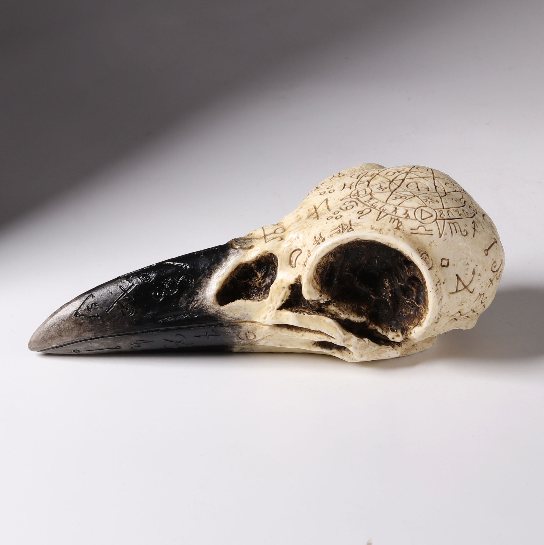 Raven Skull
