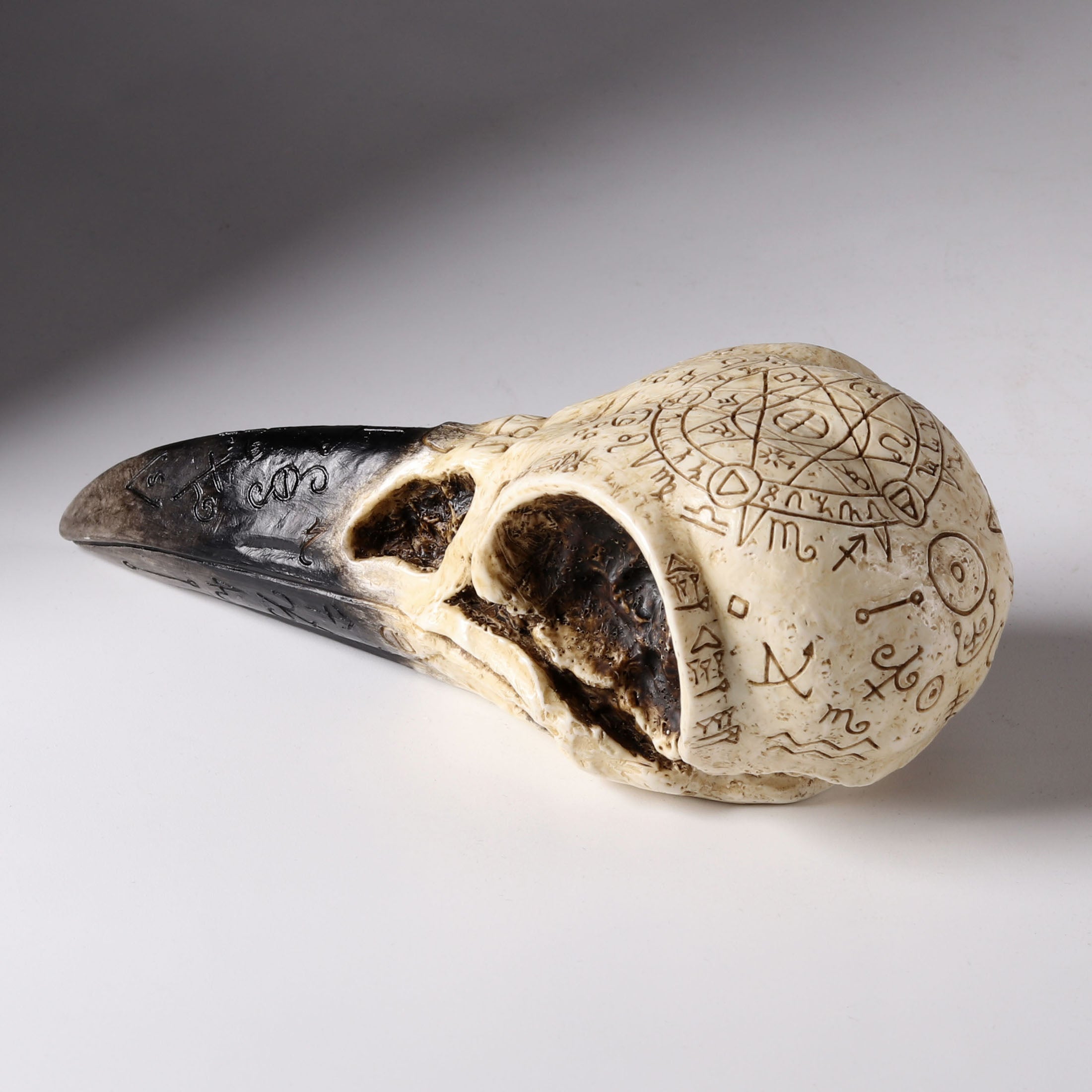 Raven Skull
