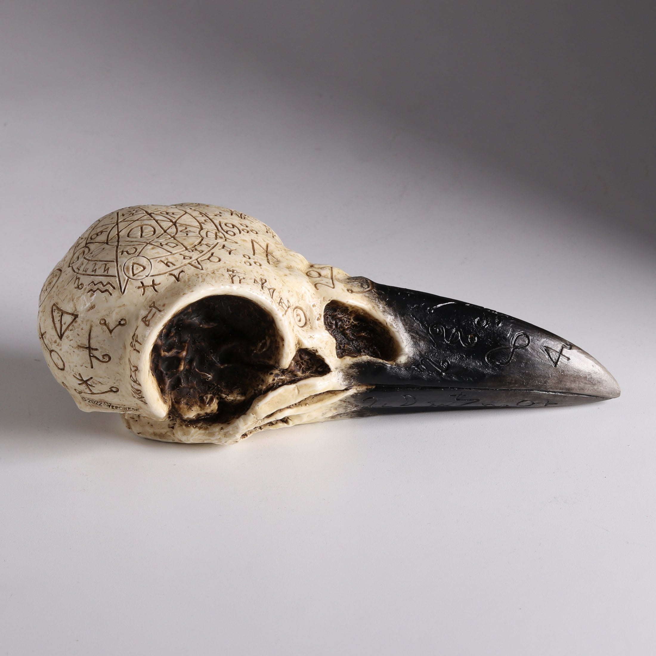 Raven Skull