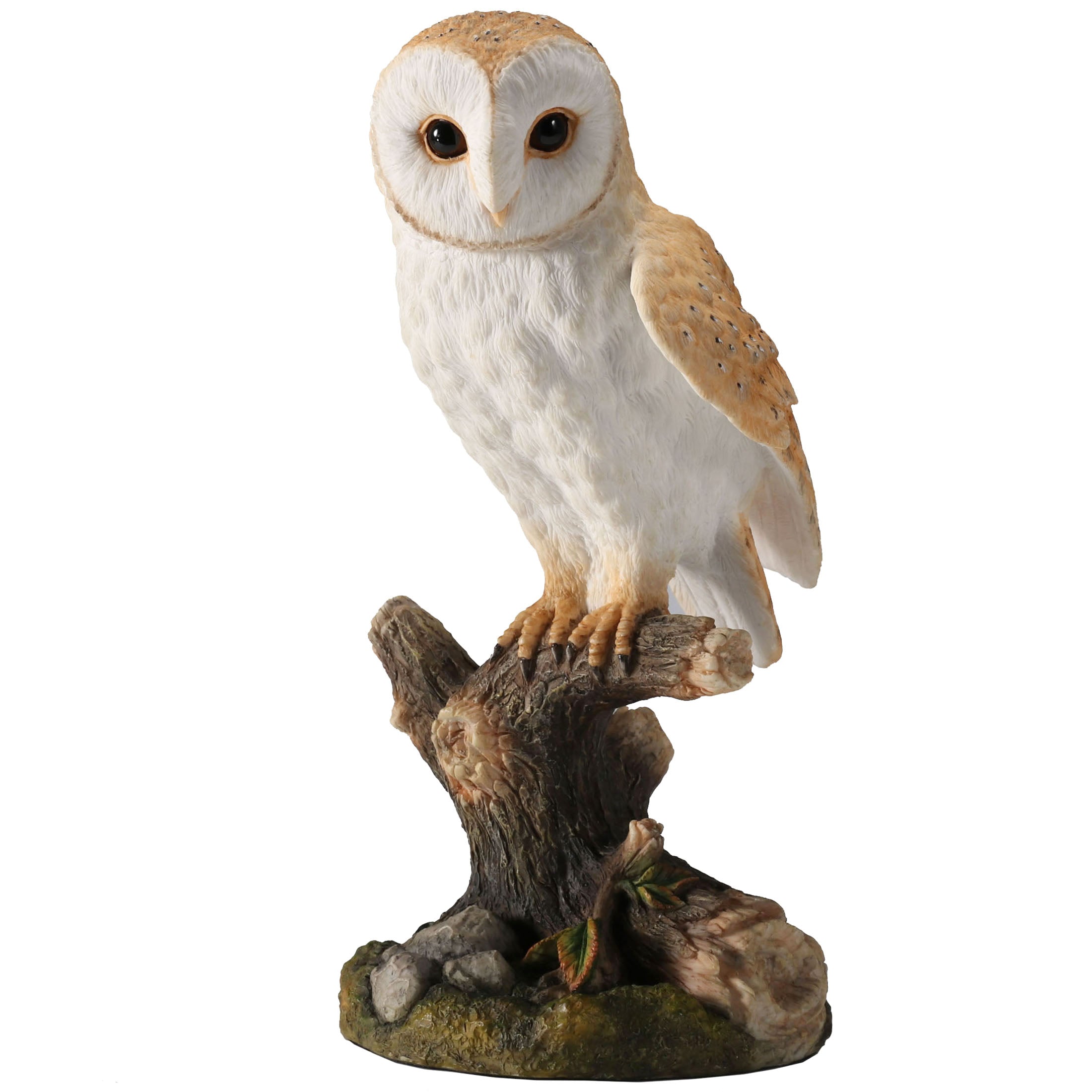 Barn Owl Standing On Branch