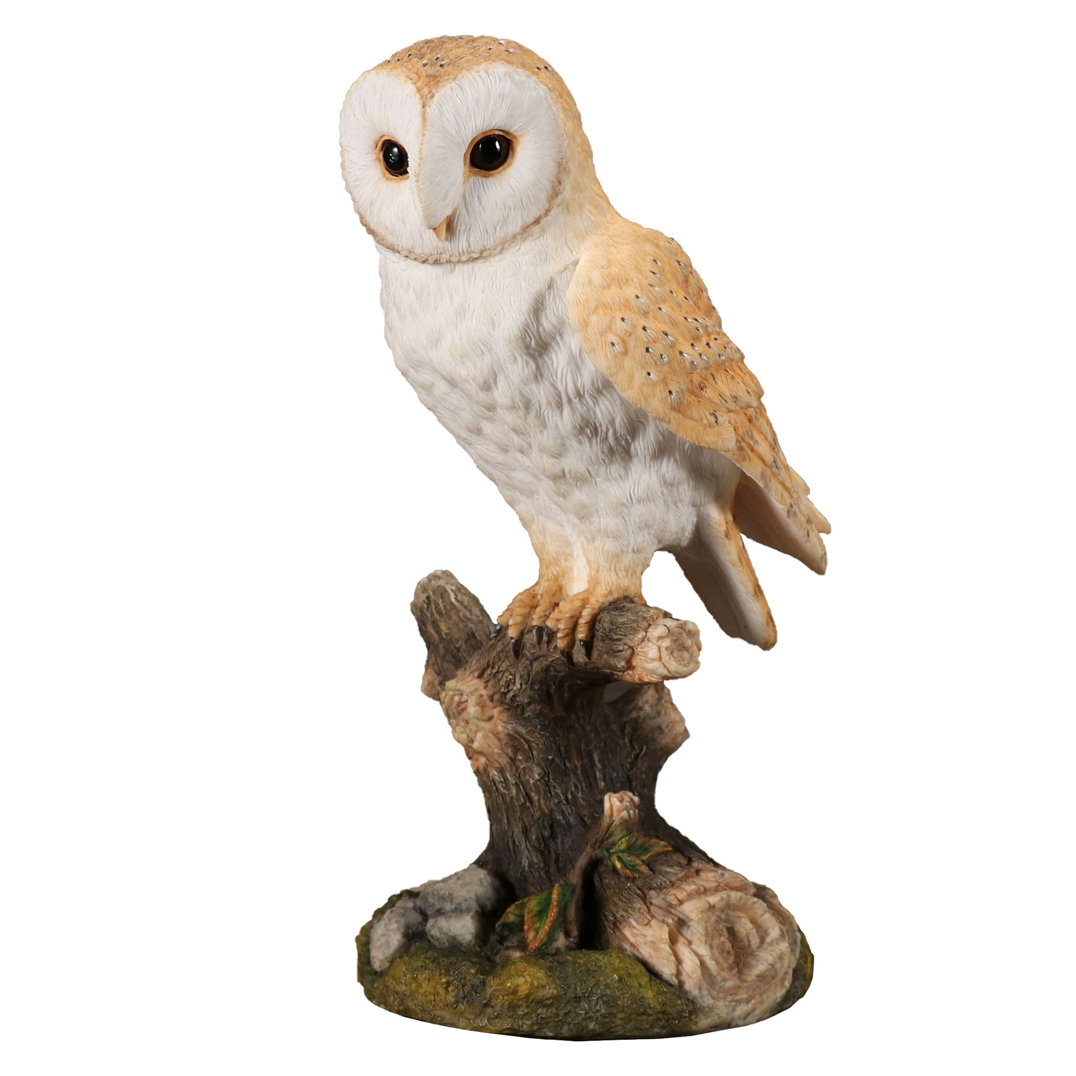 Barn Owl Standing On Branch