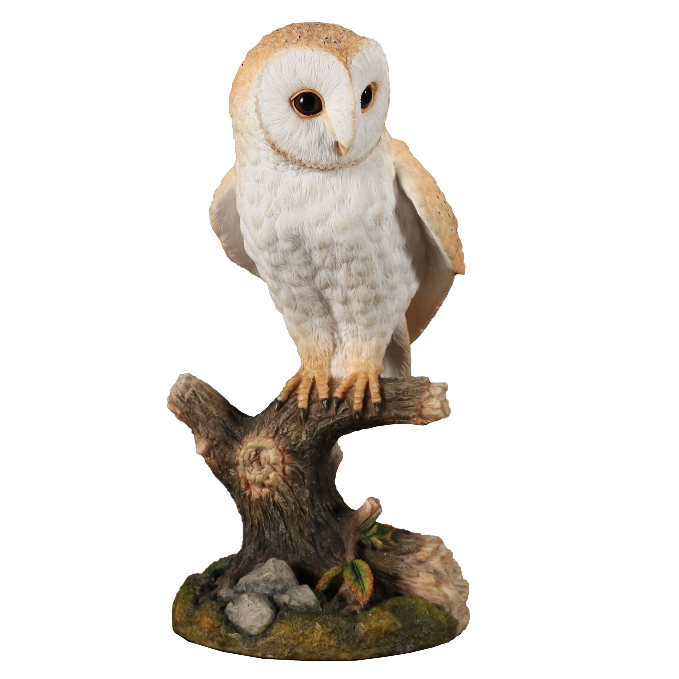 Barn Owl Standing On Branch