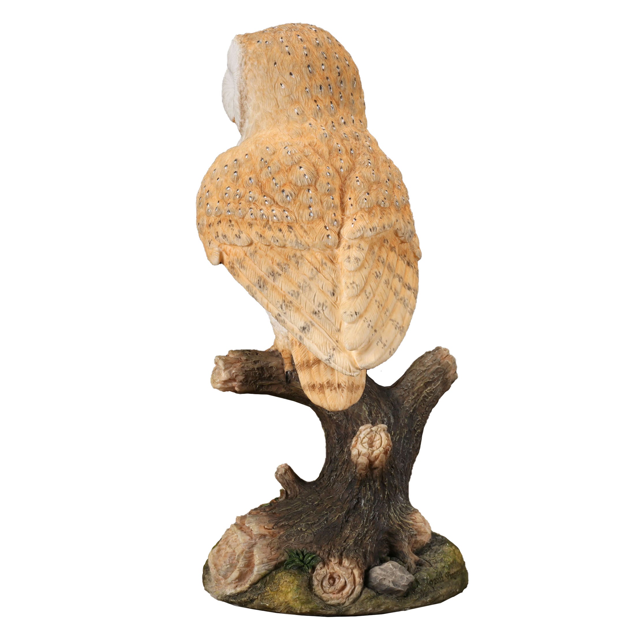 Barn Owl Standing On Branch
