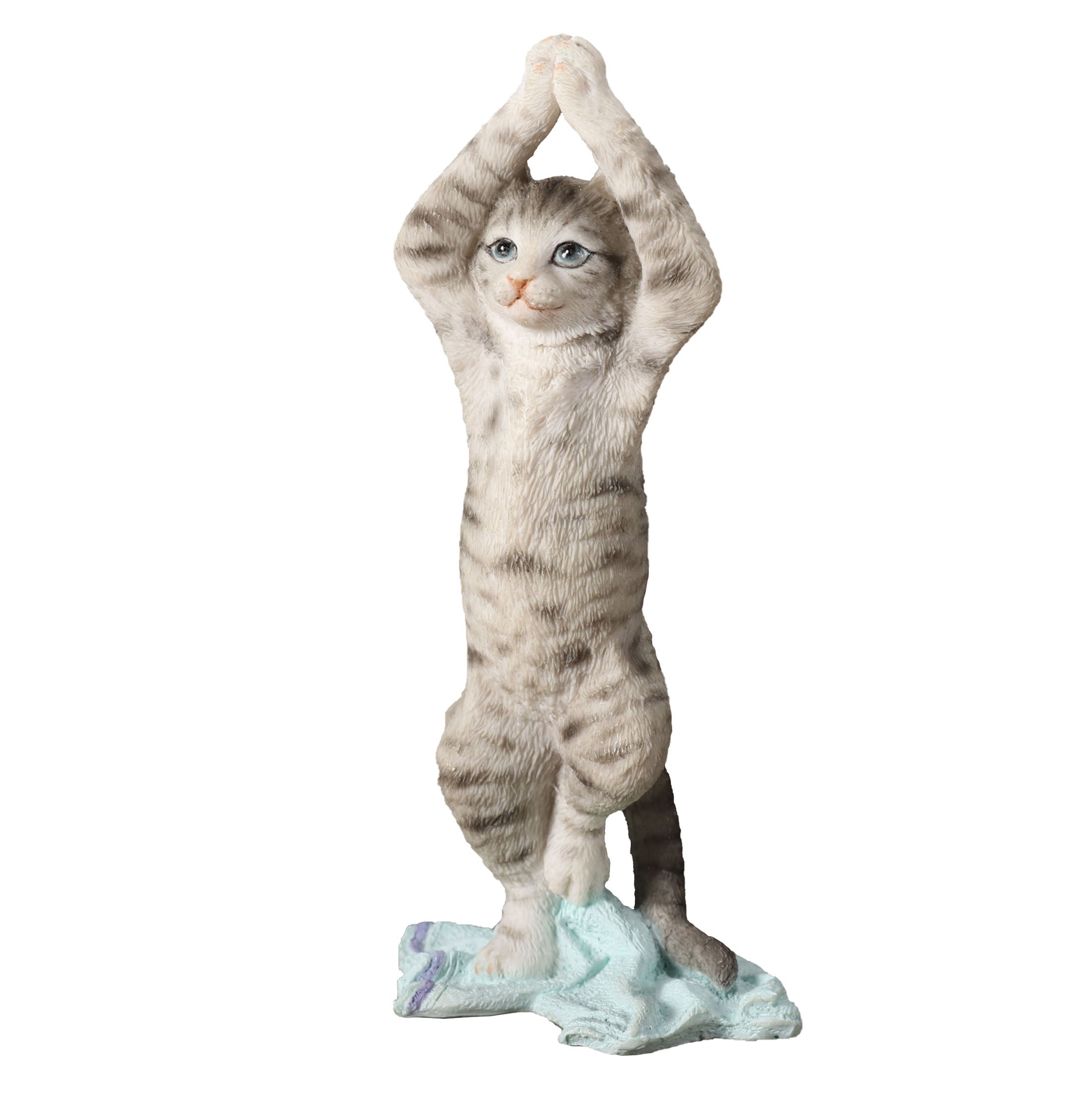 Tabby Yoga Cat Tree Pose