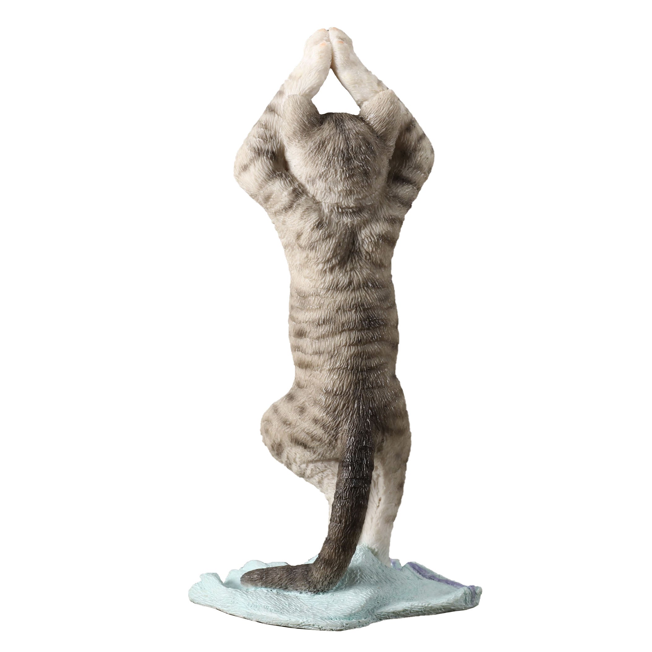 Tabby Yoga Cat Tree Pose