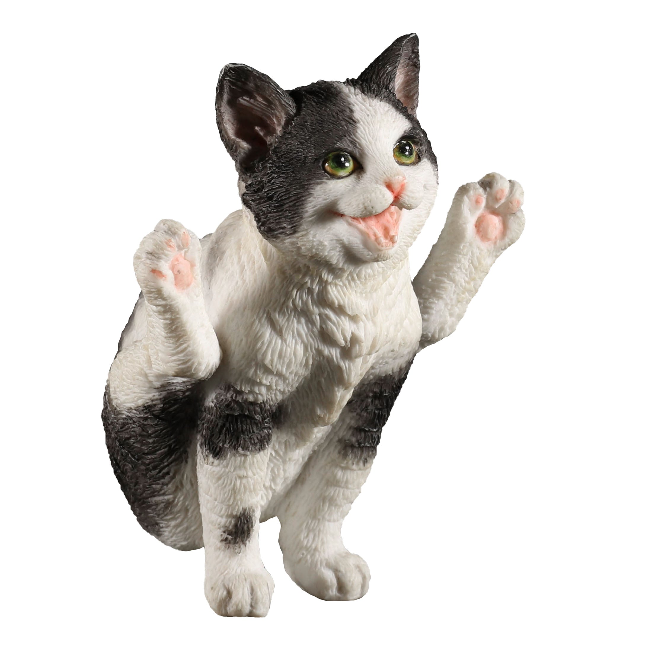 Black N White Yoga Cat Firefly Pose