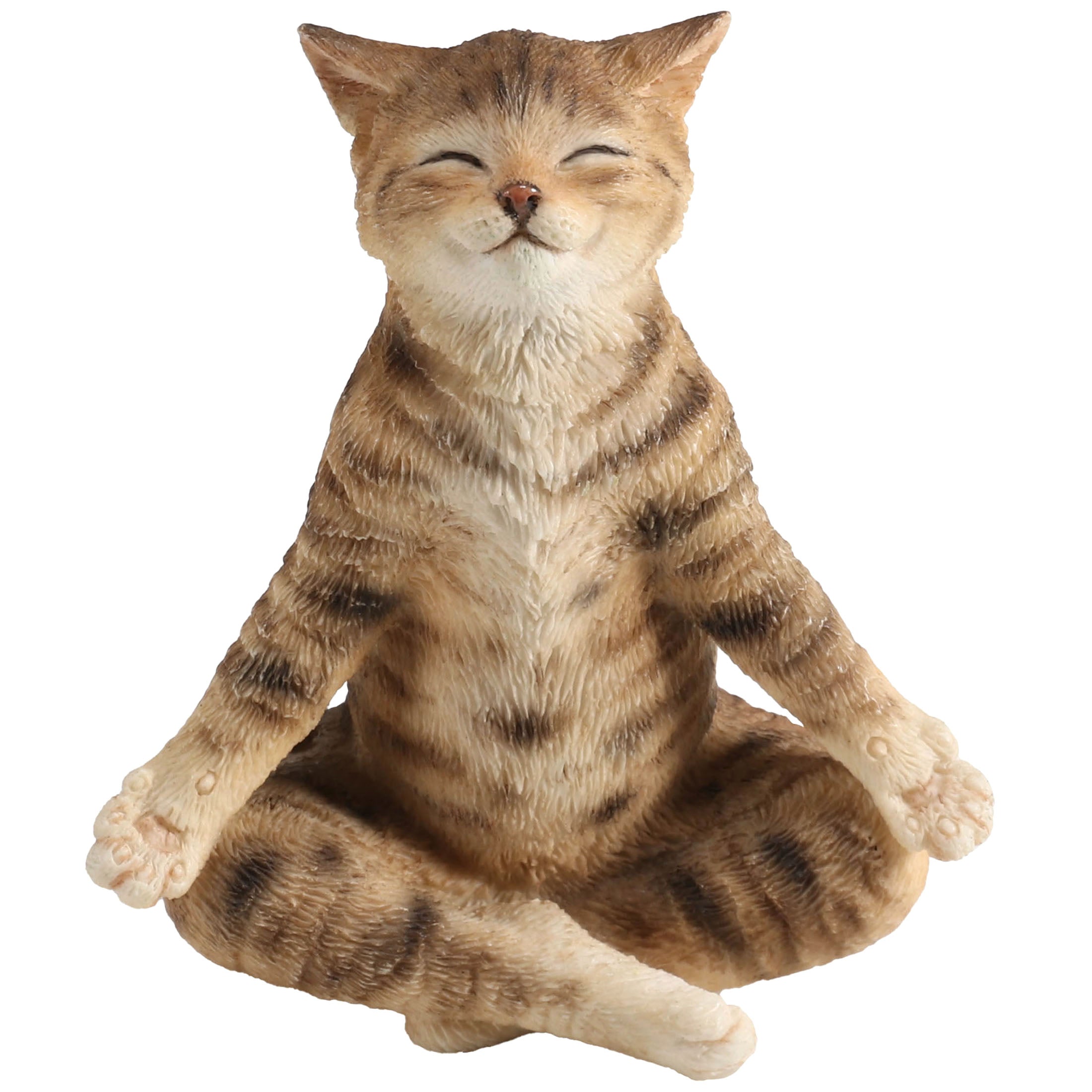 Brown Tabby Yoga Cat Lotus Pose