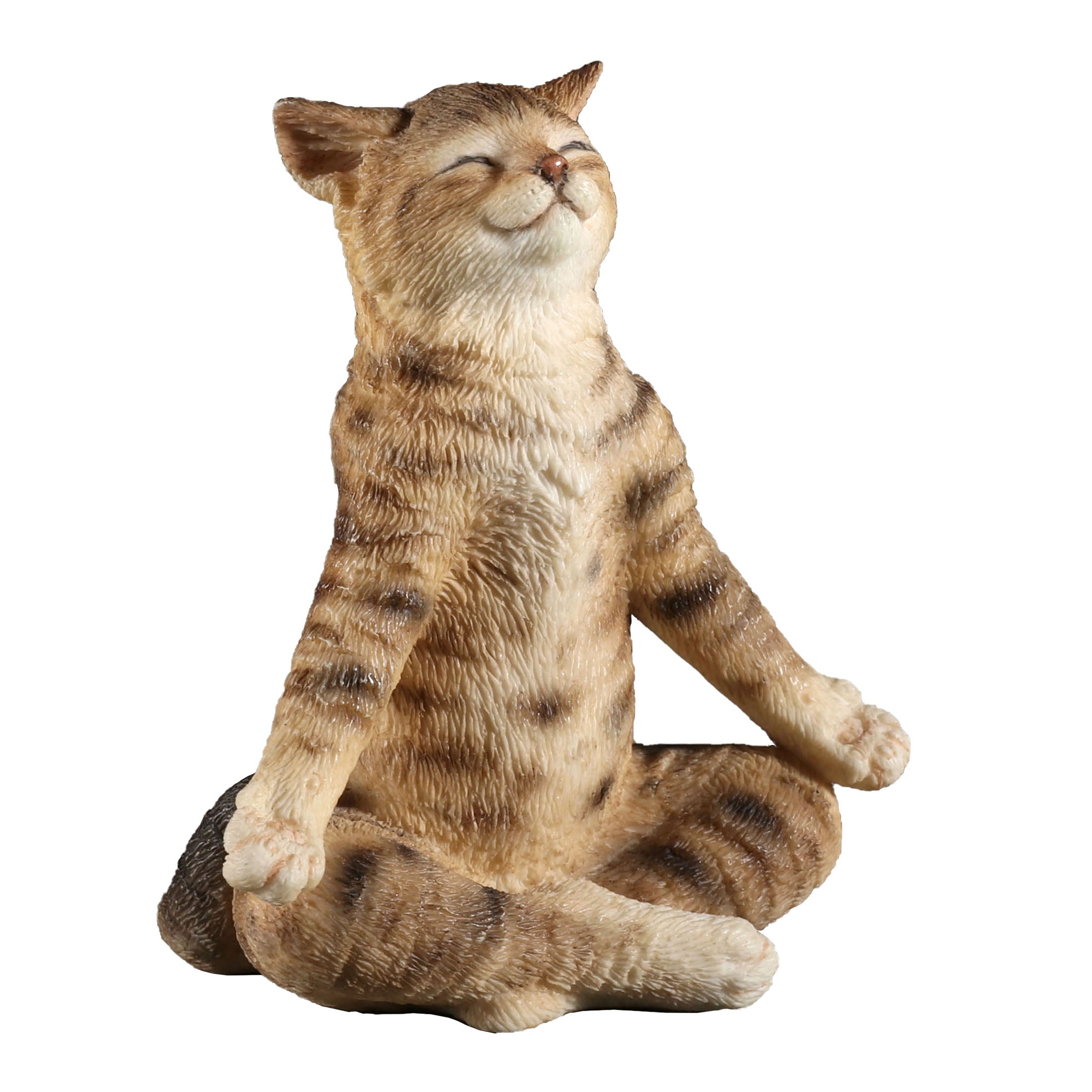 Brown Tabby Yoga Cat Lotus Pose